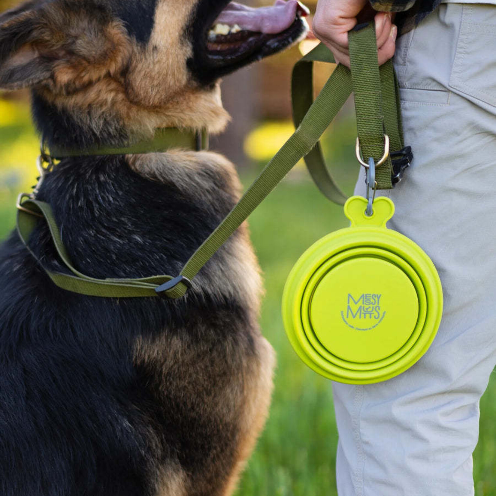 Messy Mutts - Collapsable Travel Bowl