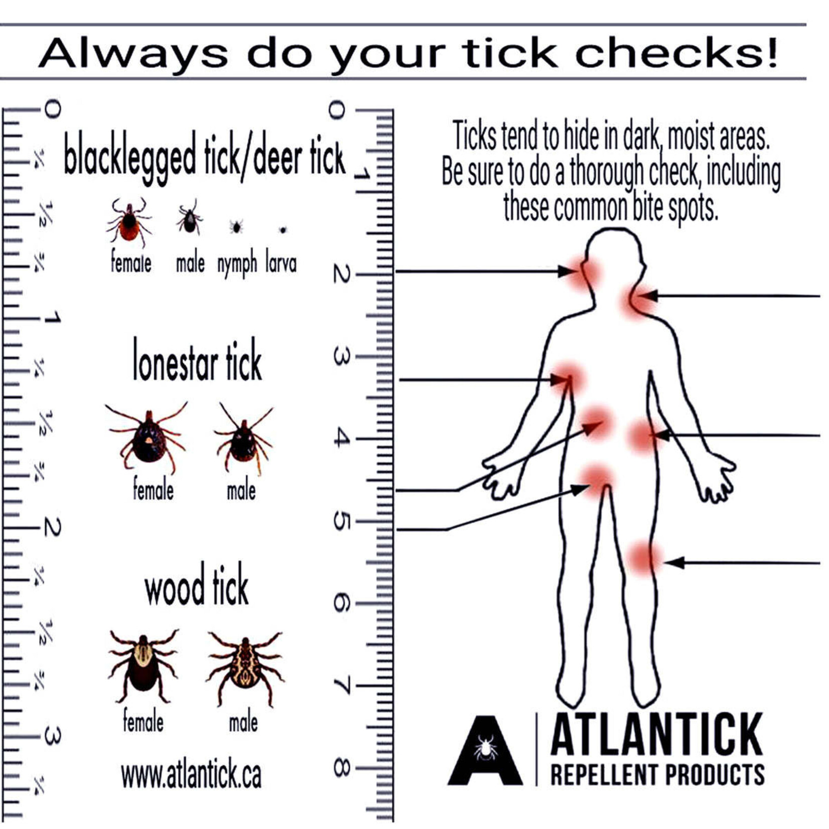 Atlantick Atlantick - trousse de tiques