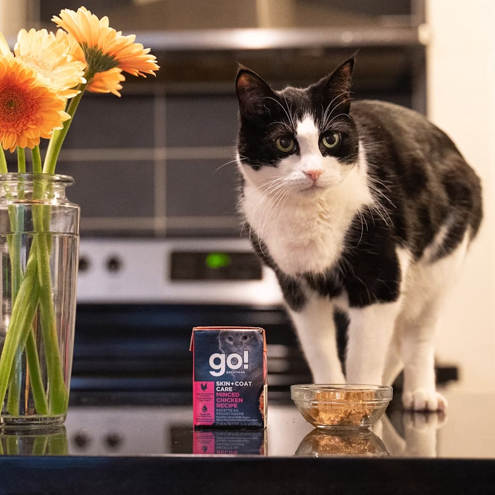 Petcurean Go! Solutions - CHAT - Peau + Pelage - Poulet haché