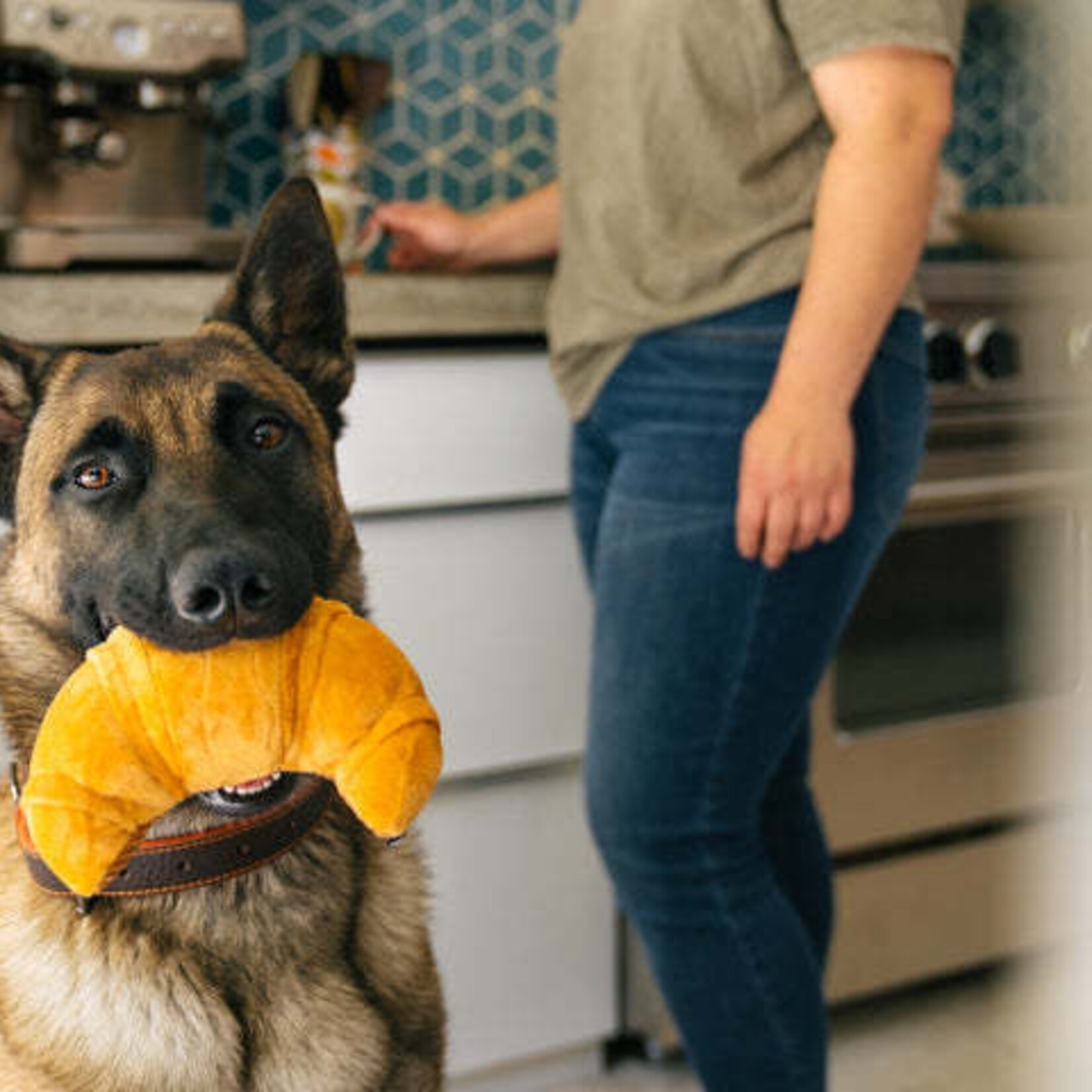 Pet P.L.A.Y - Brunch Barking - Pup's Pastry