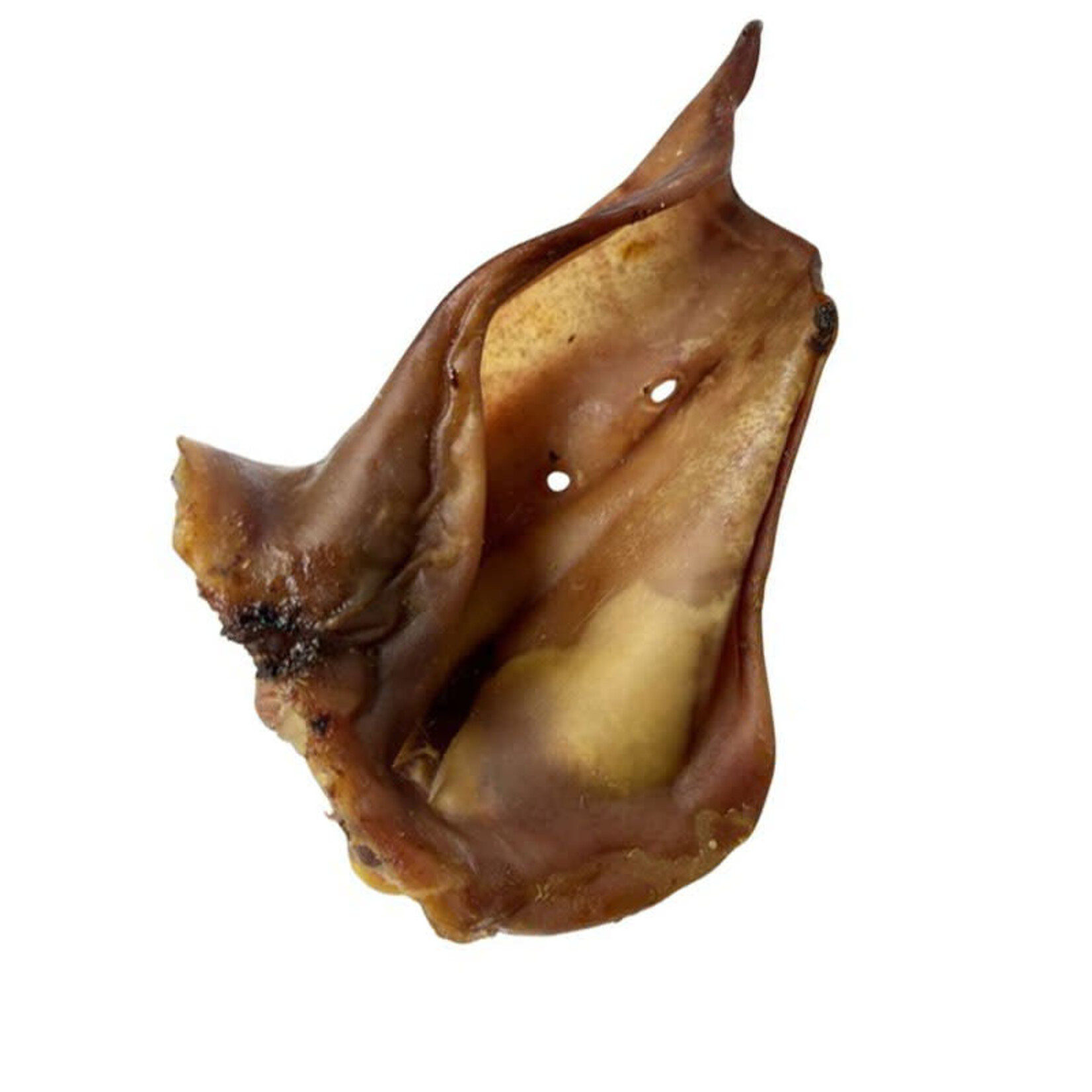 Wawwaw - Giant Pig Ear