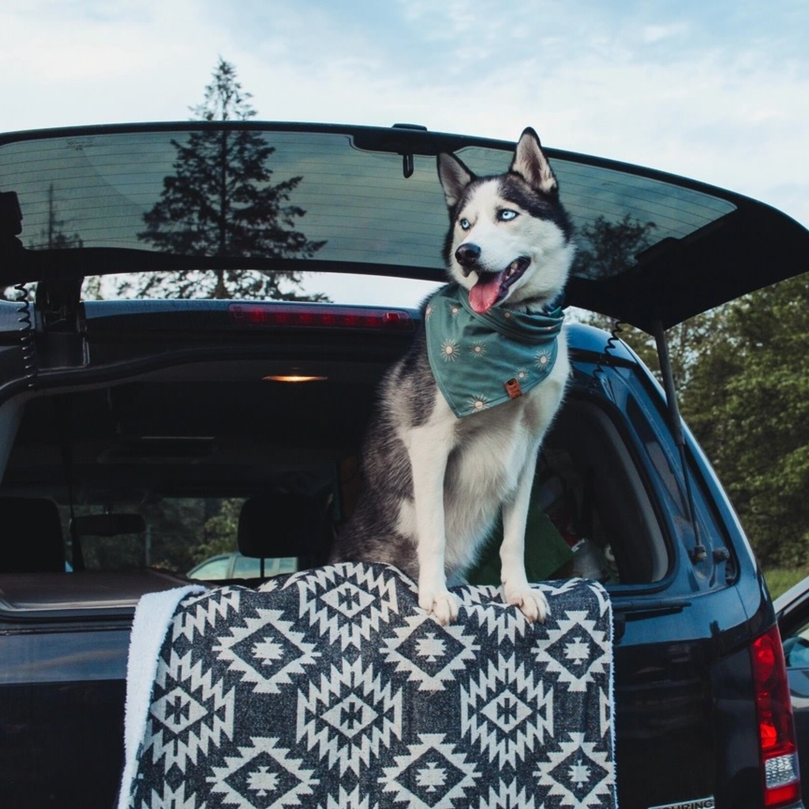 Wild Husky Co. - Wool Blend Blanket - Arctic (Dark)