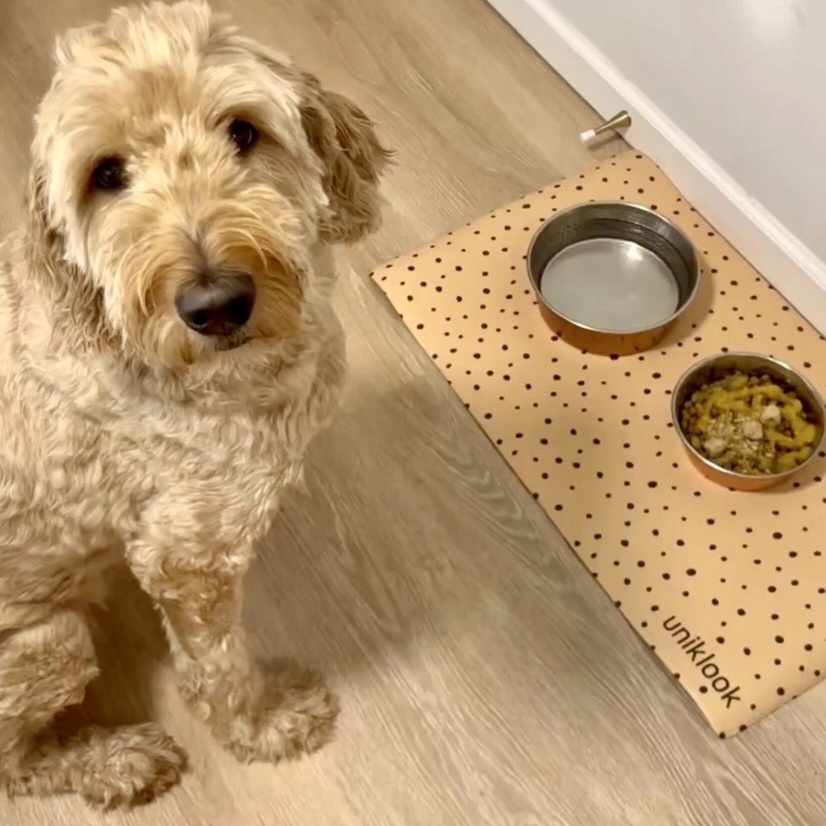 Uniklook - Tapis pour bols - Cheetah