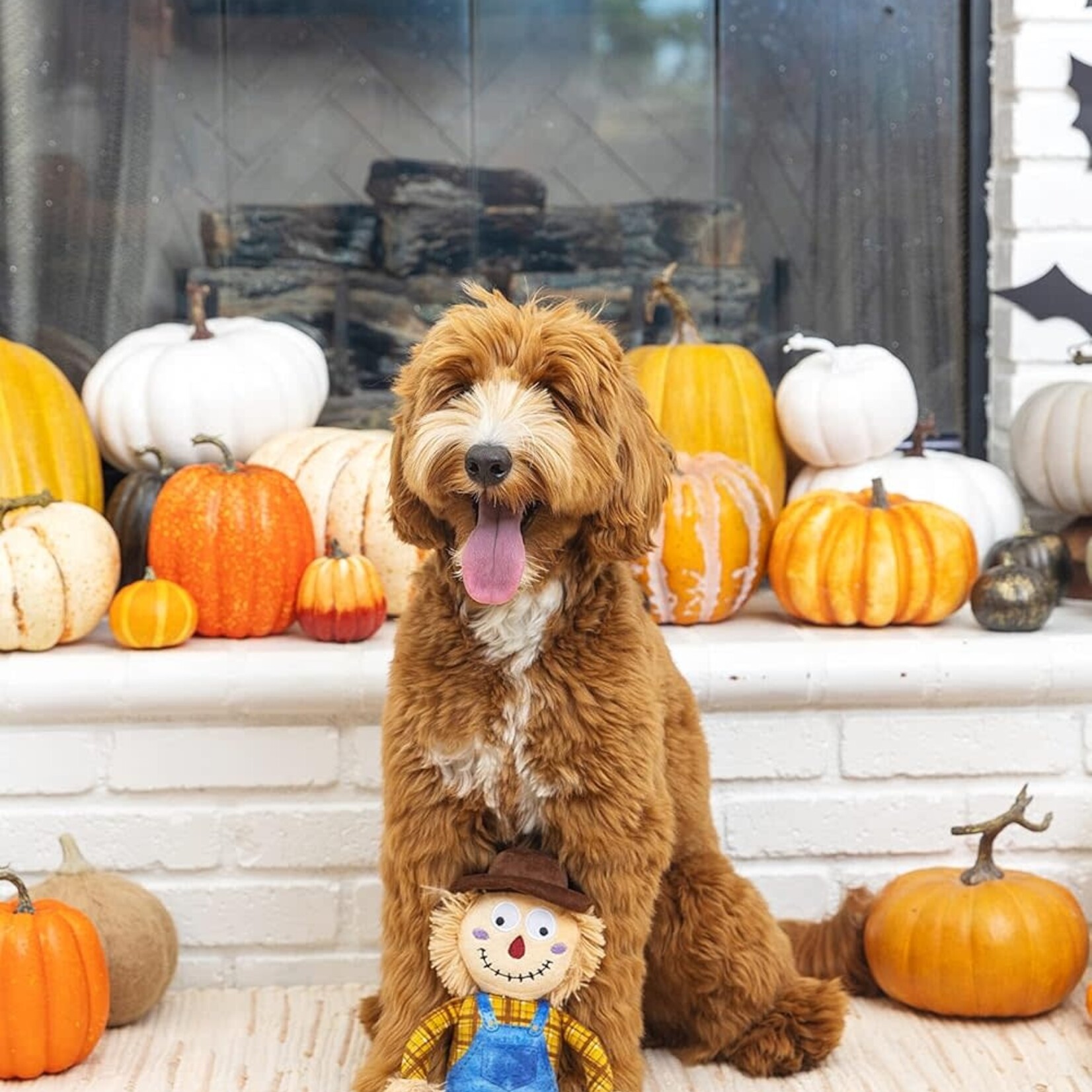 Fringe Studio - PetShop - On My Last Straw