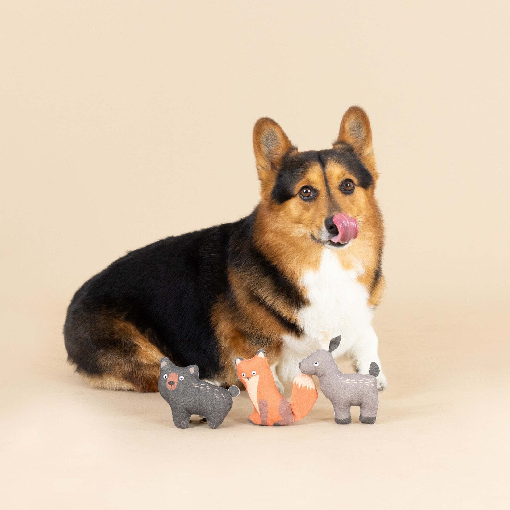 Pet Shop - Forest Friends Minis - Set of 3