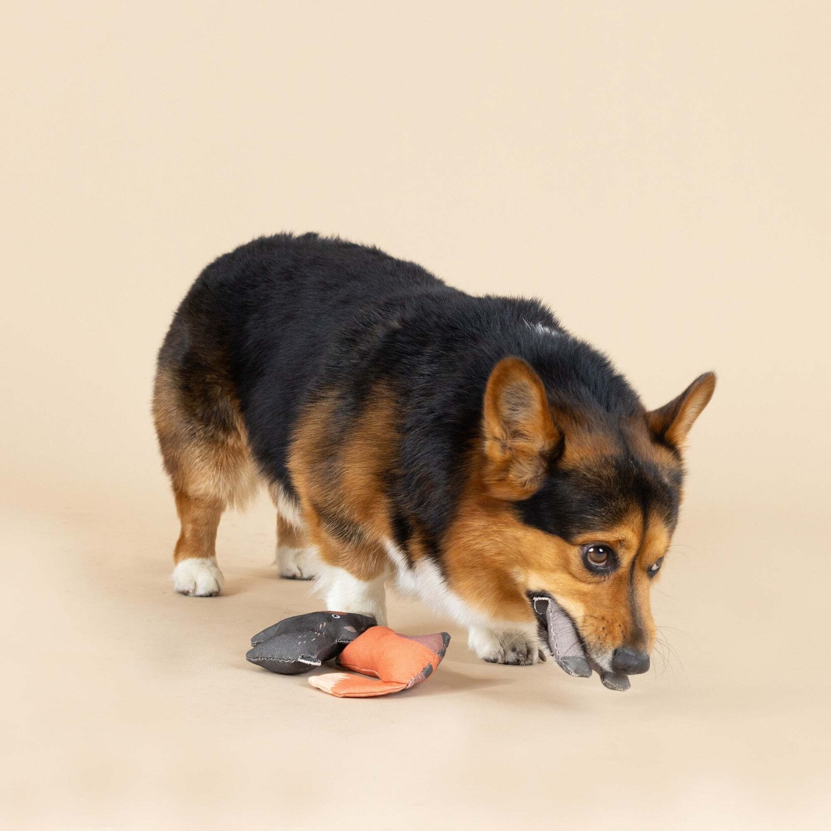 Pet Shop - Forest Friends Minis - ensemble de 3