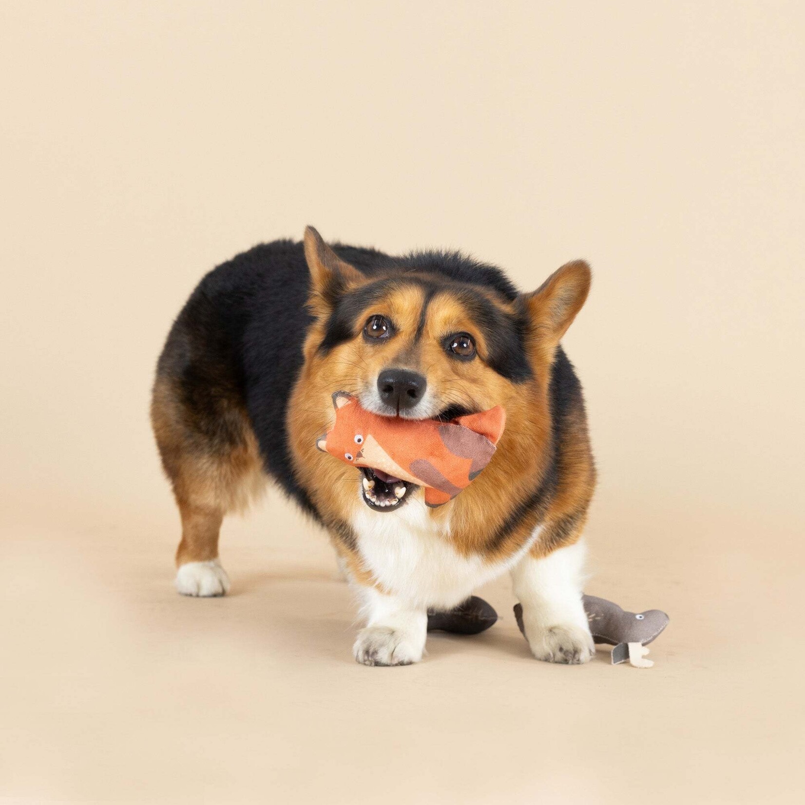 Pet Shop - Forest Friends Minis - Set of 3