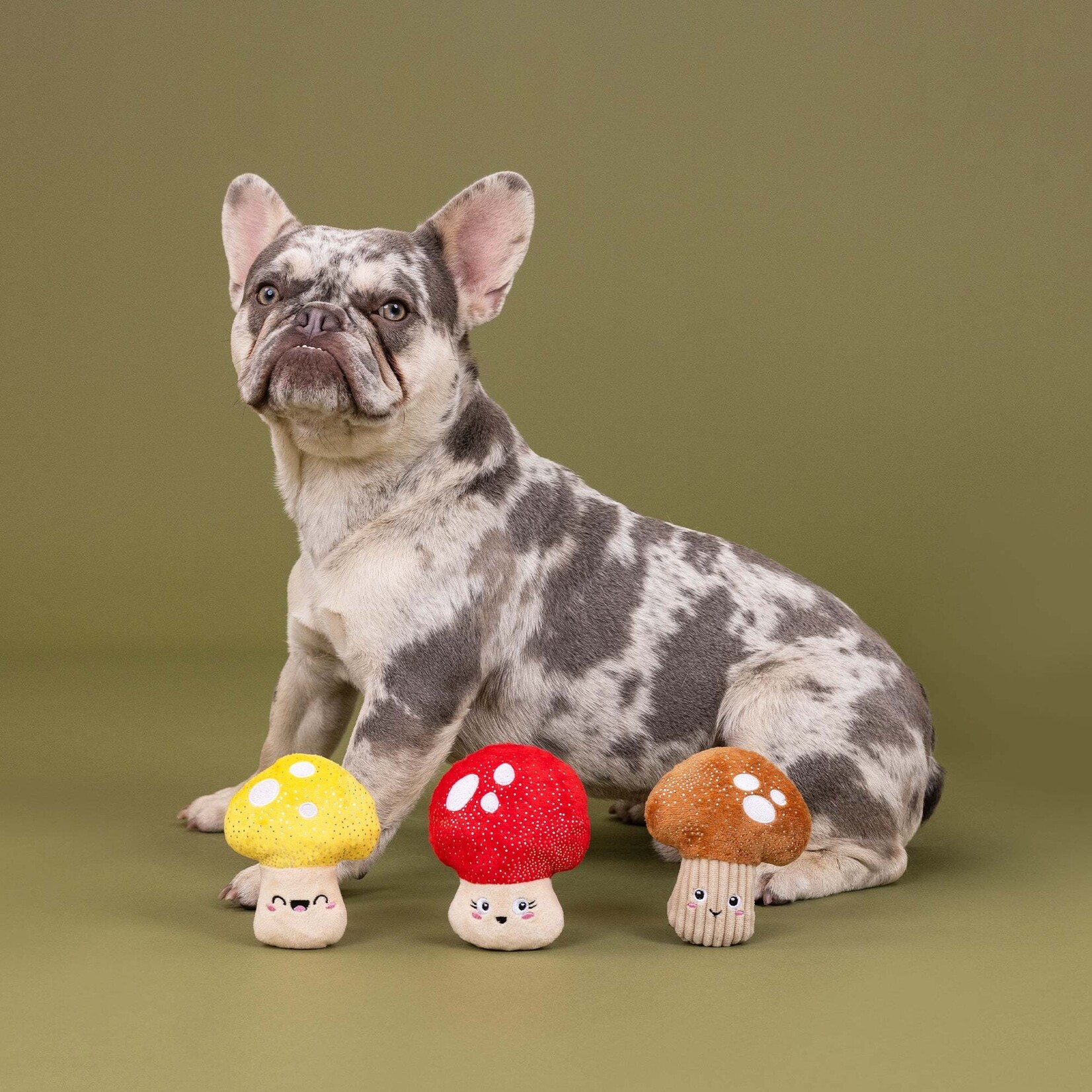 Pet Shop - Shrooming Minis - set of 3