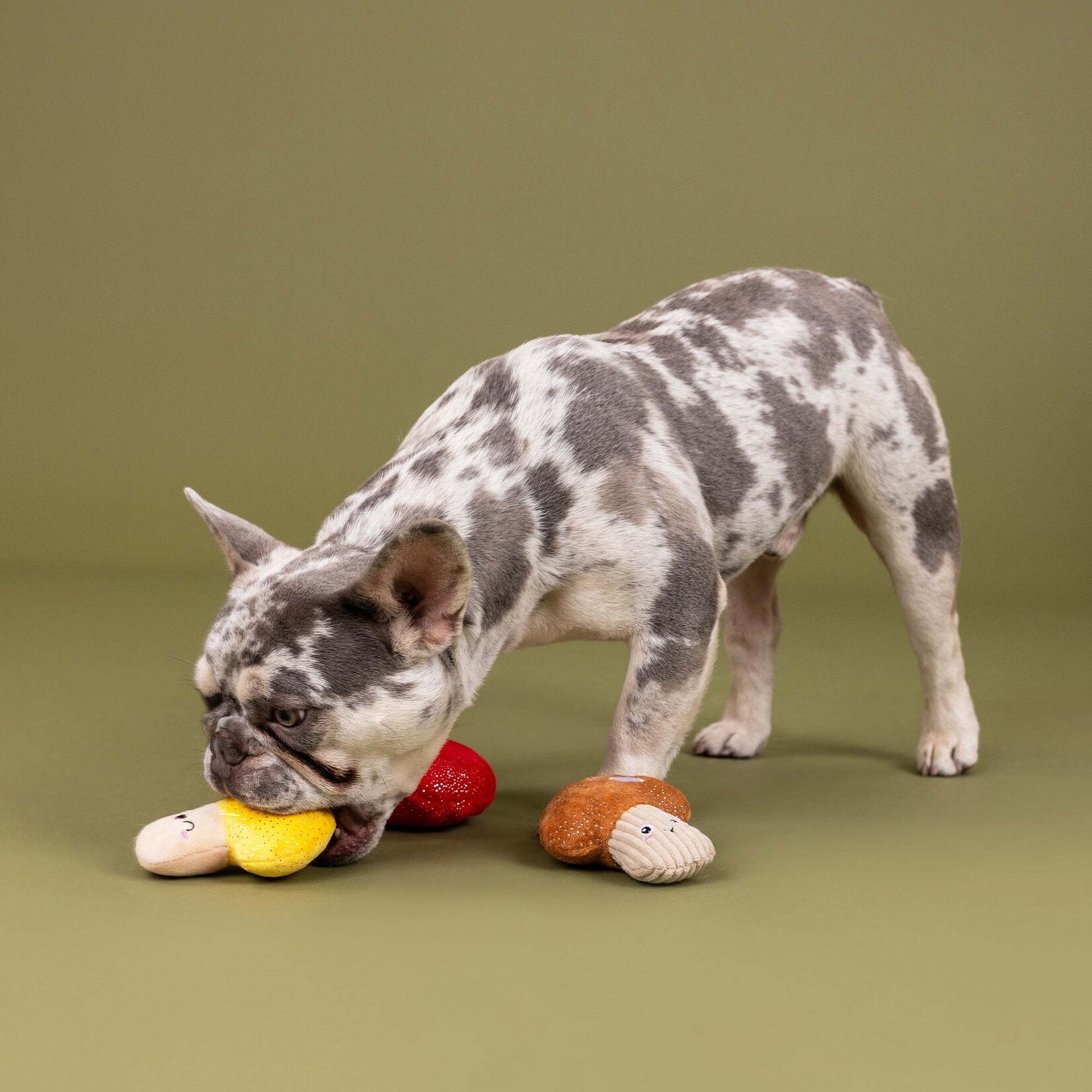 Pet Shop - Shrooming Minis - set of 3