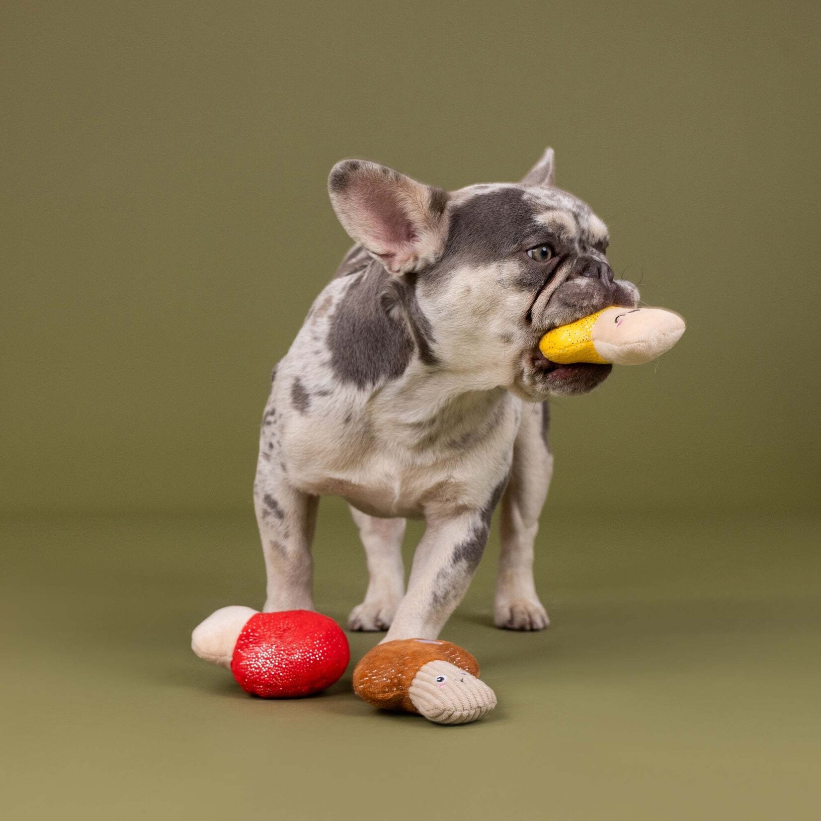 Pet Shop - Shrooming Minis - set of 3