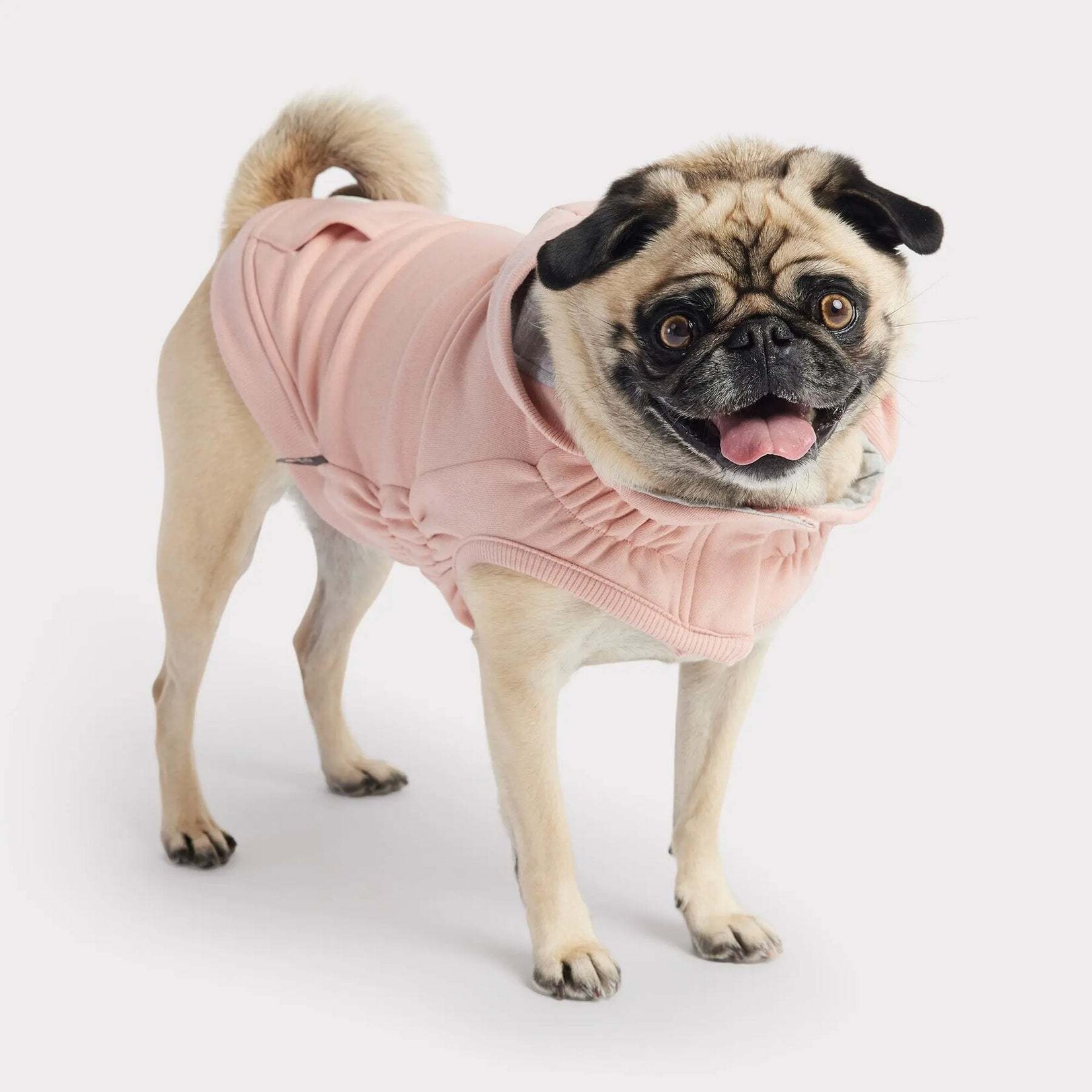 GF Pet - Urban Hoodie - Rose