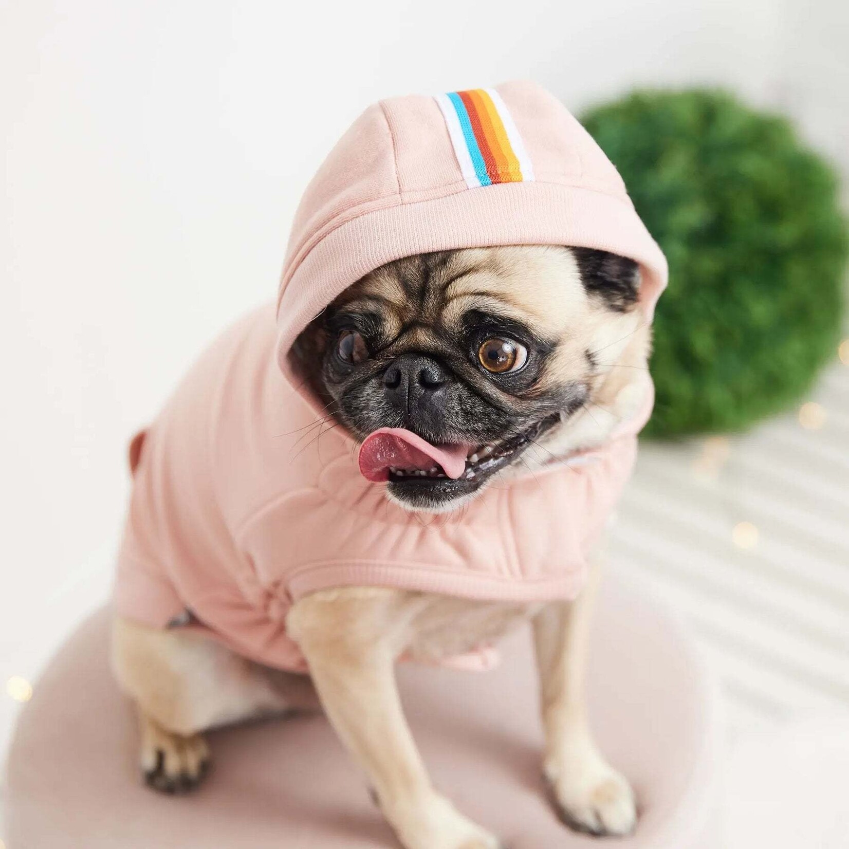 GF Pet - Urban Hoodie - Rose
