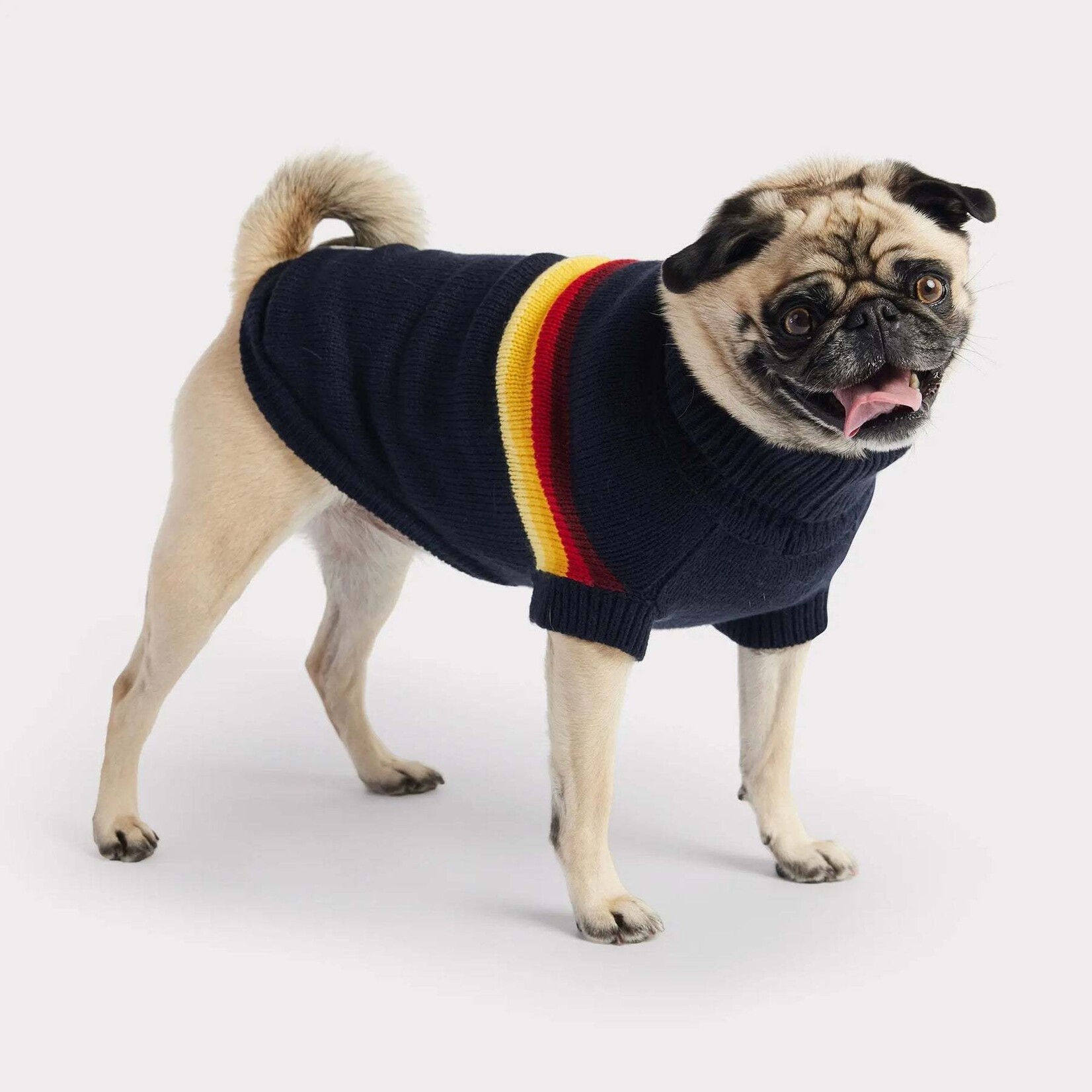 GF Pet - Chandail Retro - bleu marine