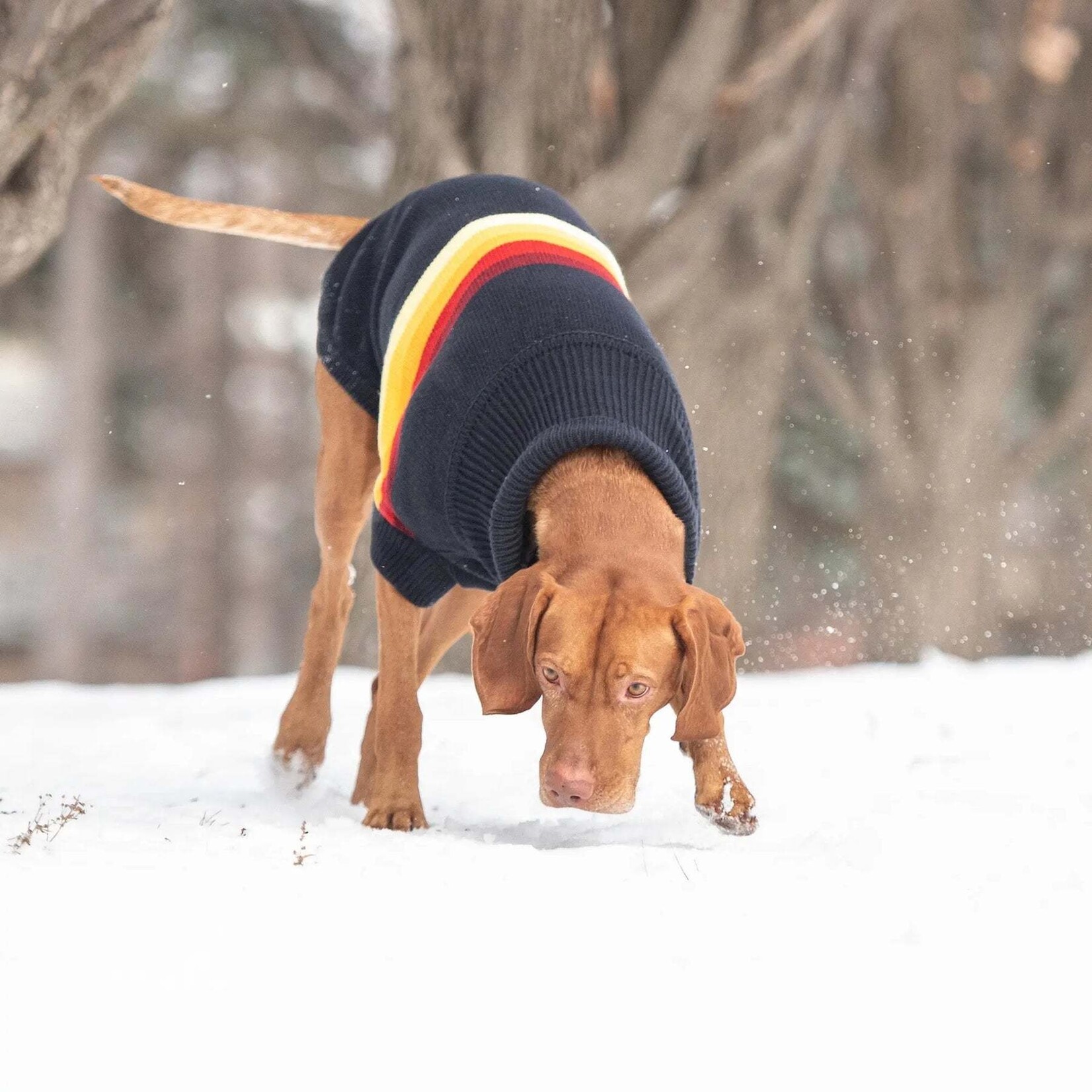 GF Pet - Retro Dog Sweater - Navy