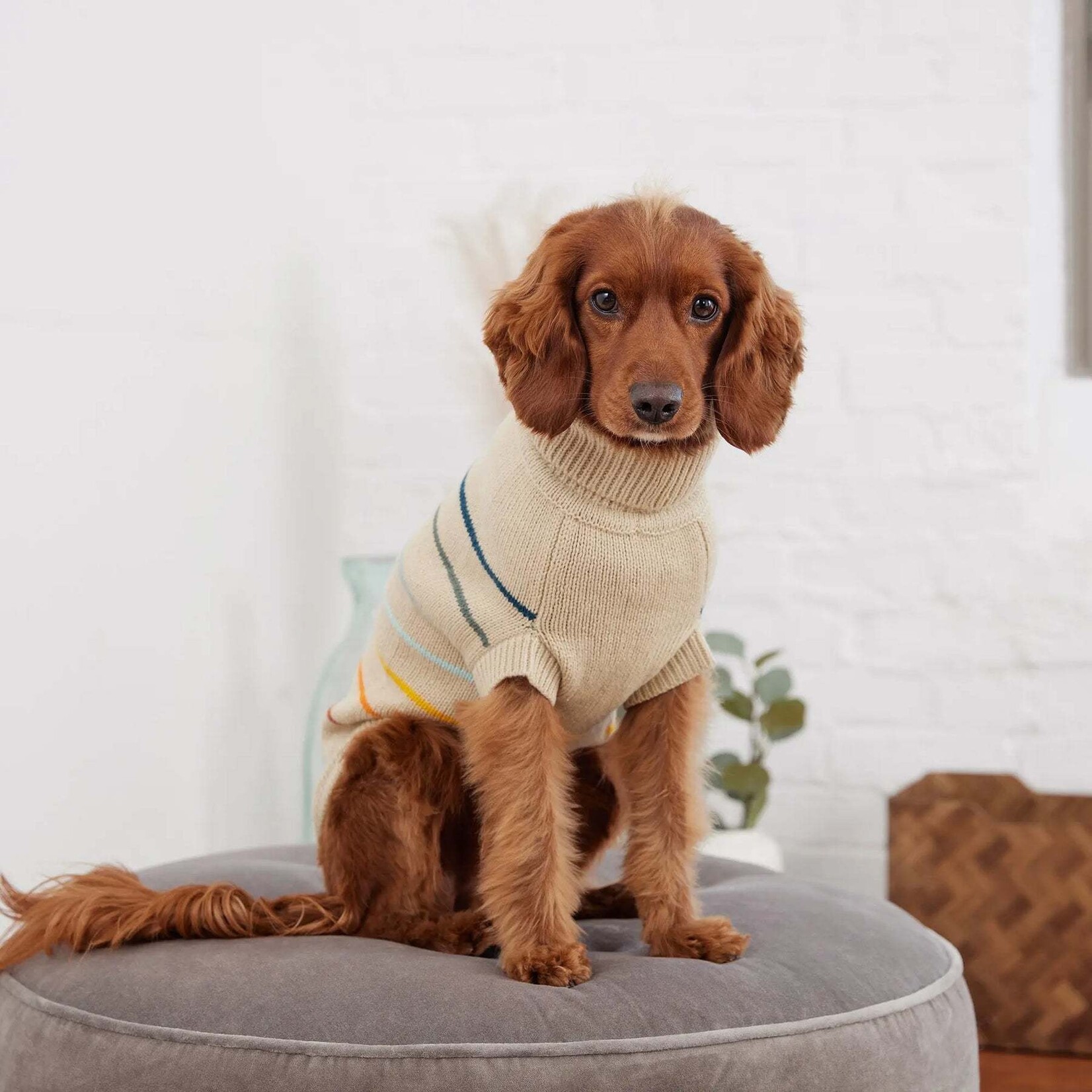 GF Pet - Arctic Dog Sweater