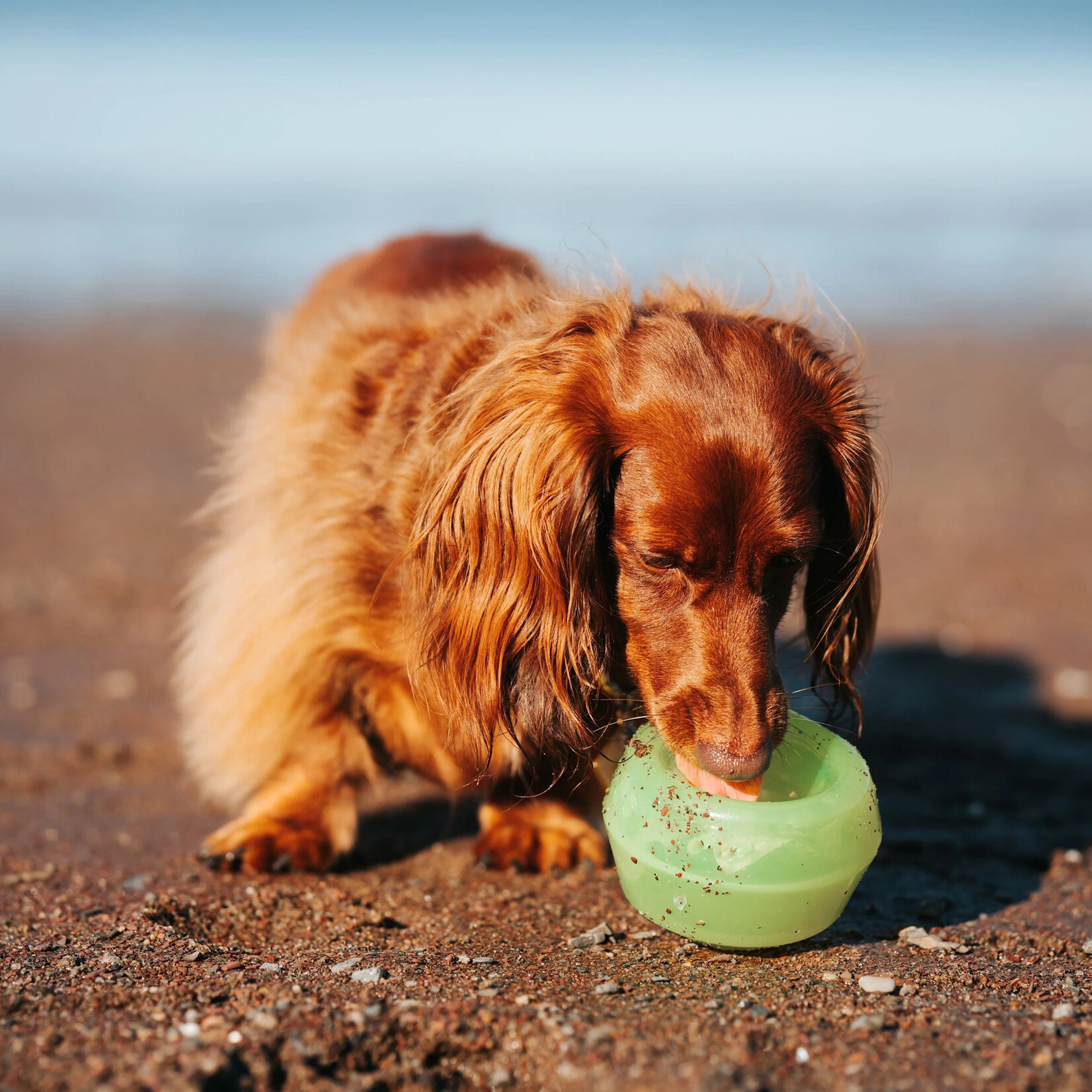 Totally Pooched - Balle Stuff'n Wobble - 3"