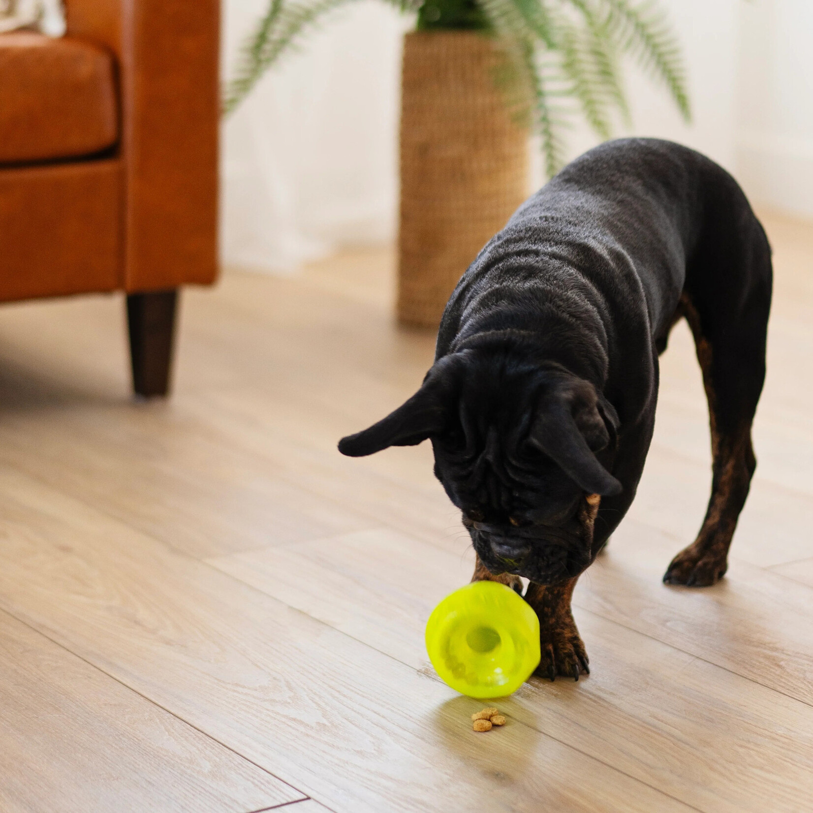 Totally Pooched - Stuff'n Wobble Ball - 3" - Green