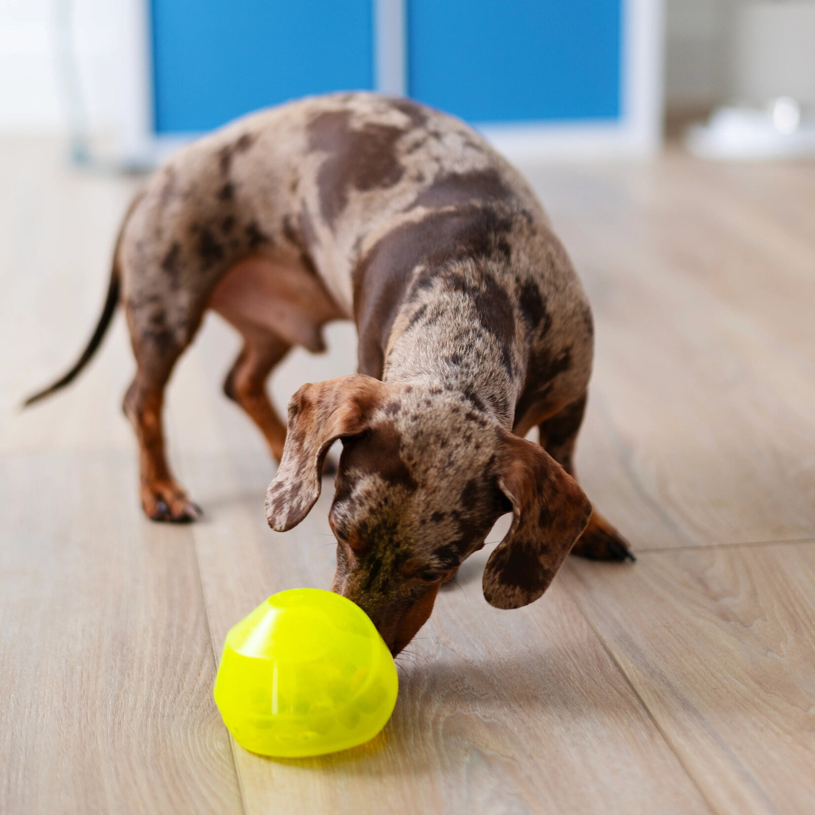 Totally Pooched - Stuff'n Wobble Ball - 3" - Green