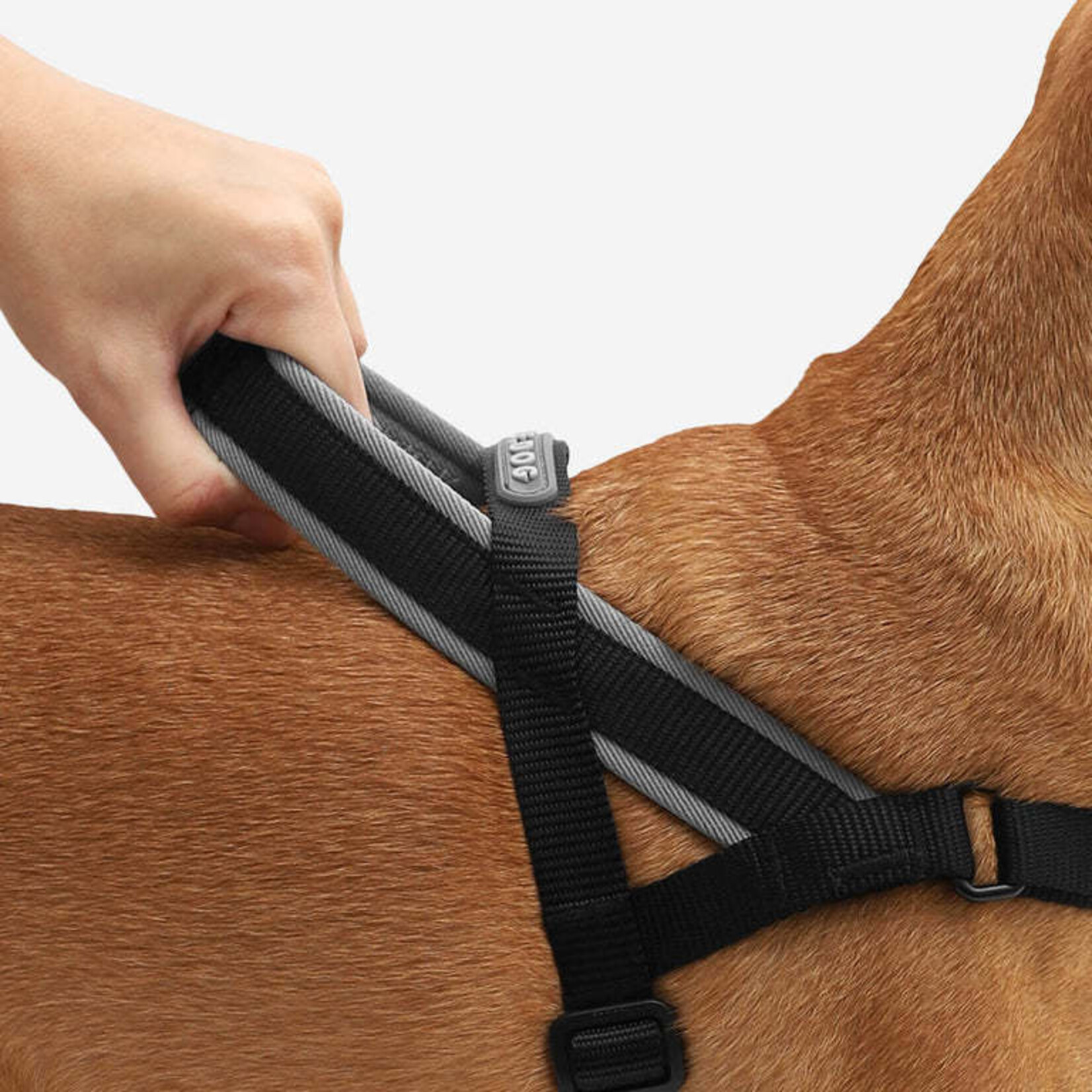 ZeeDog Zee Dog - Harnais No-Pull SofterWalk - Gotham