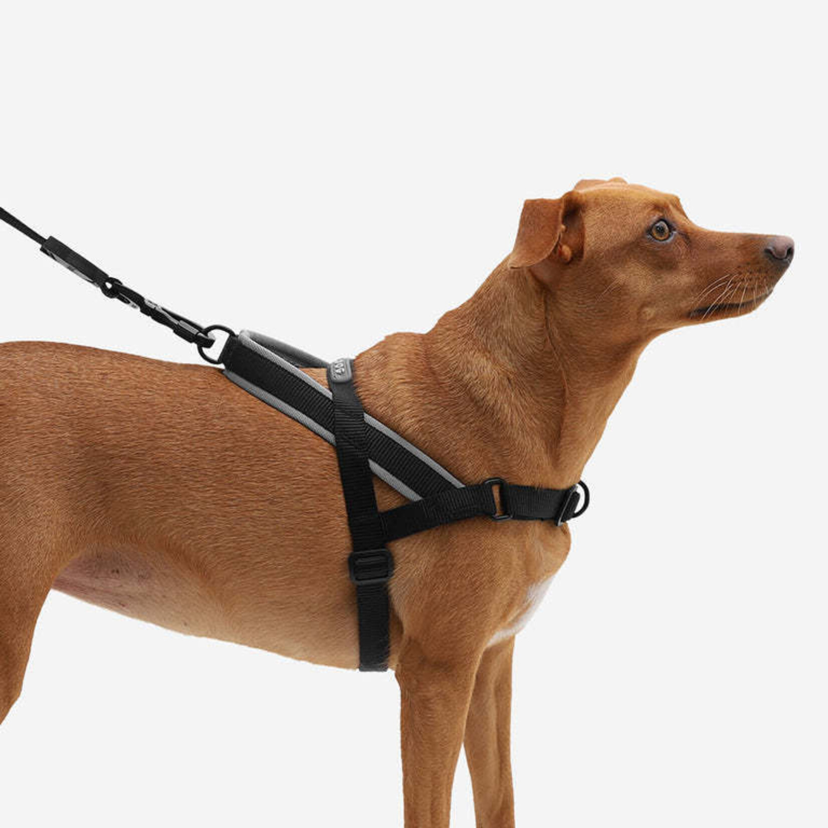 ZeeDog zee.dog  - No-Pull SofterWalk Harness - Gotham