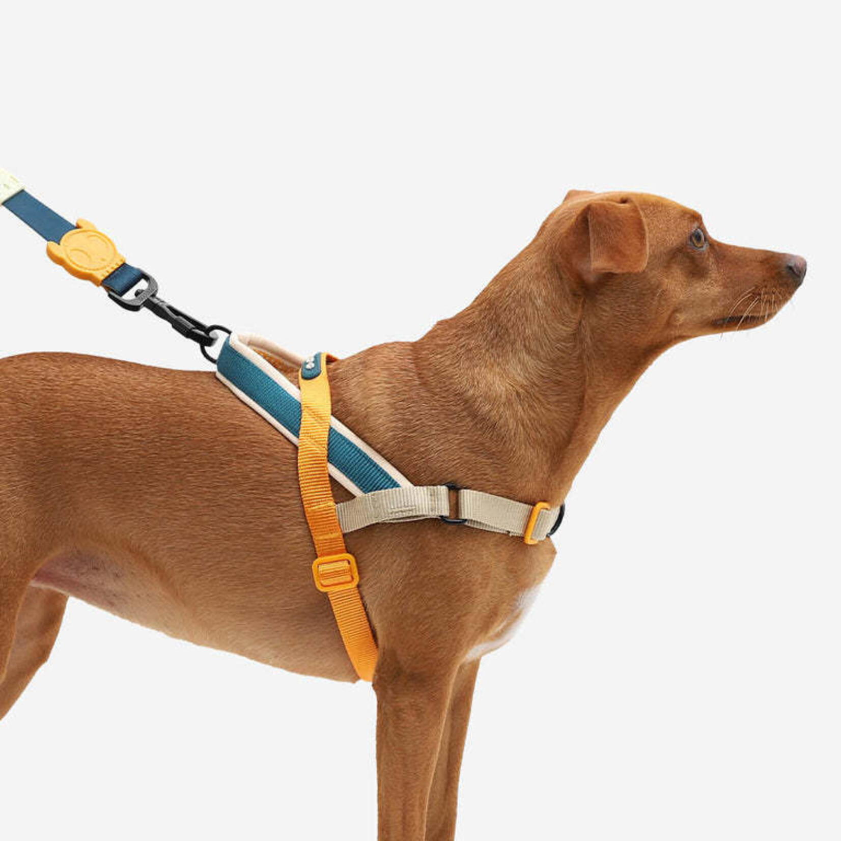 ZeeDog Zee Dog - Harnais No-Pull SofterWalk - Voyage