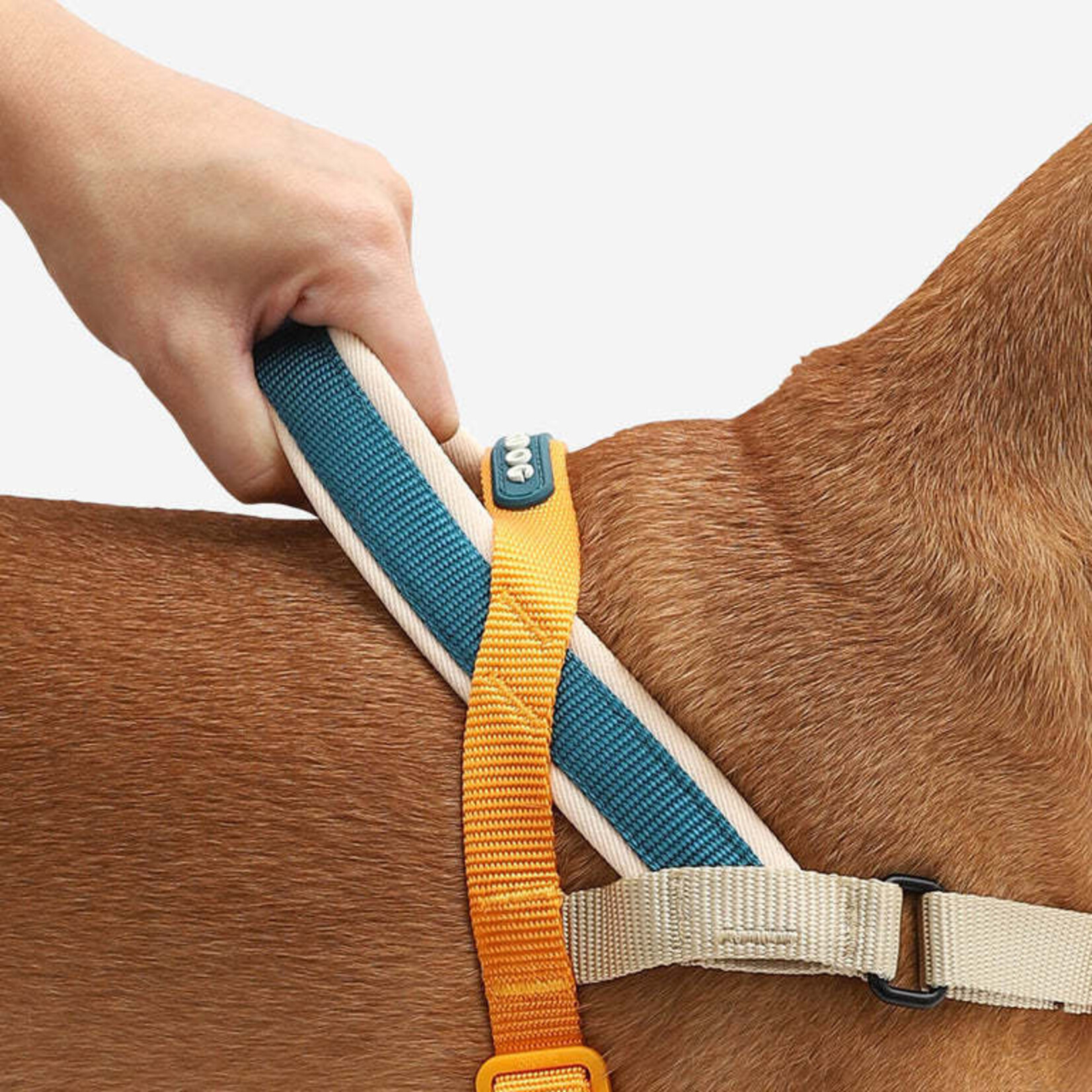 ZeeDog Zee Dog - Harnais No-Pull SofterWalk - Voyage