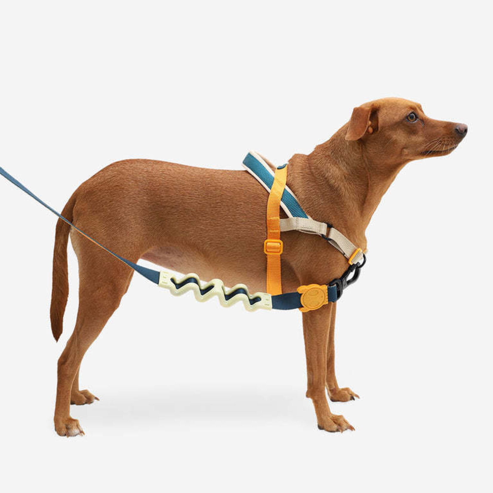 ZeeDog Zee Dog - Harnais No-Pull SofterWalk - Voyage