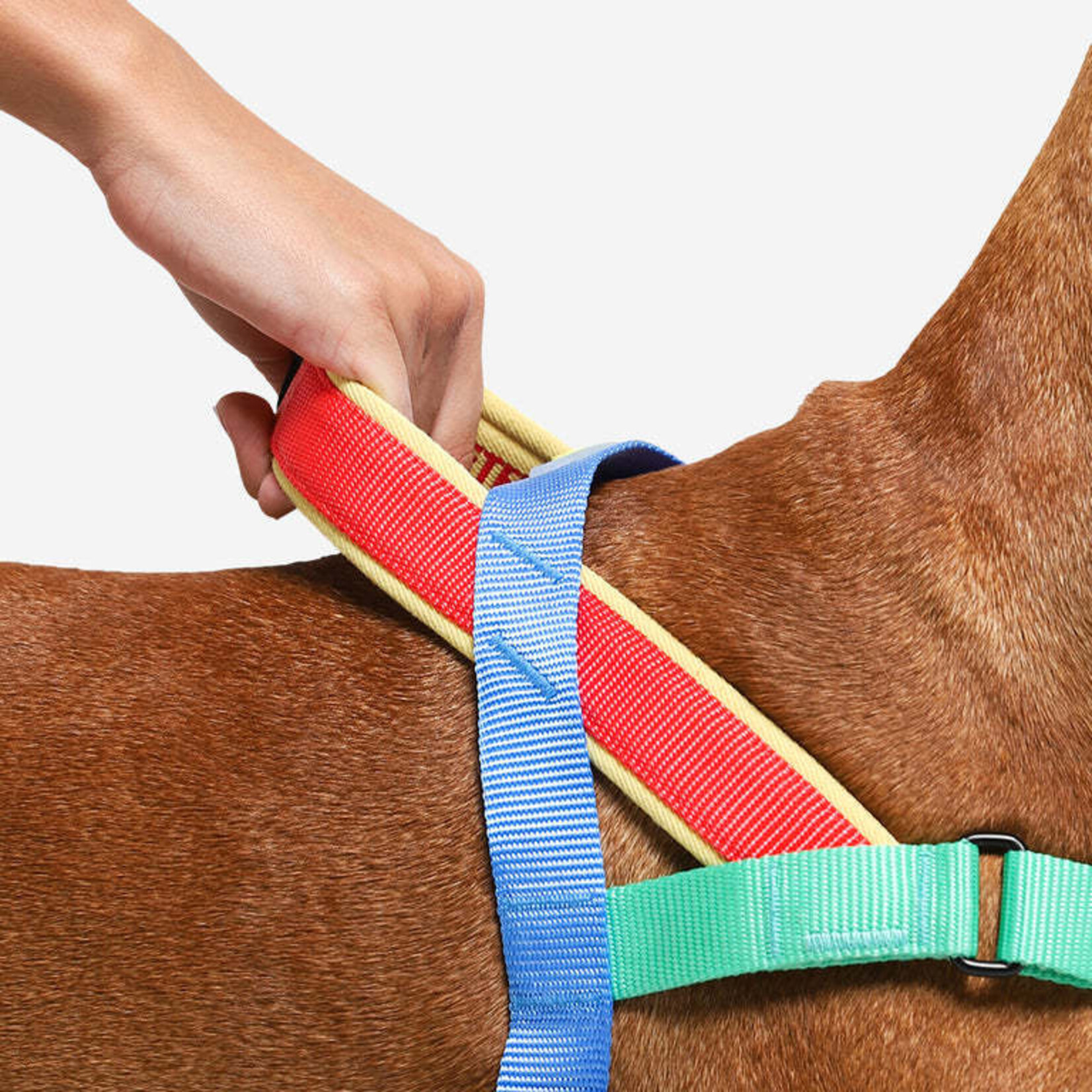 ZeeDog zee.dog - Harnais No-Pull SofterWalk - Mellow