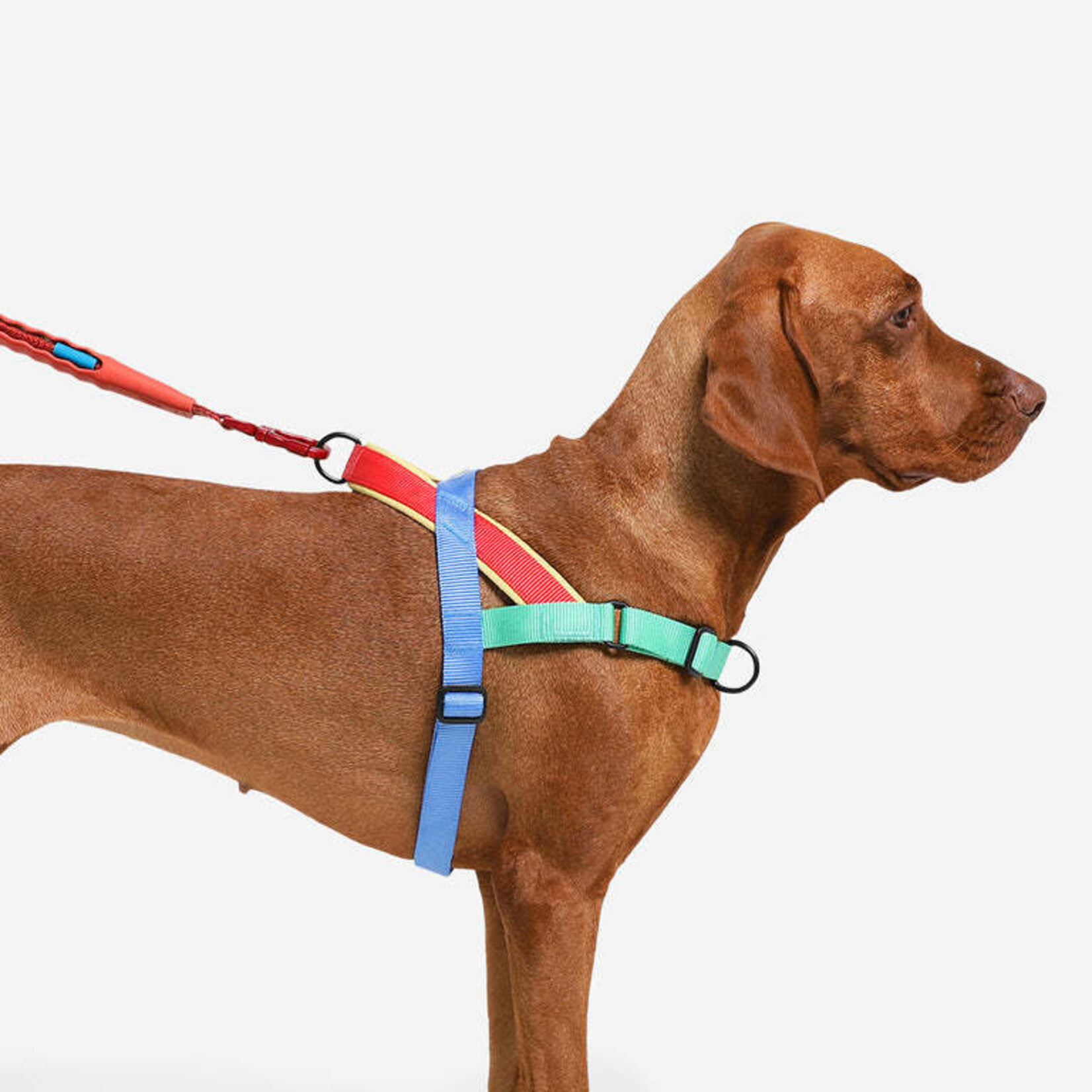ZeeDog zee.dog - Harnais No-Pull SofterWalk - Mellow
