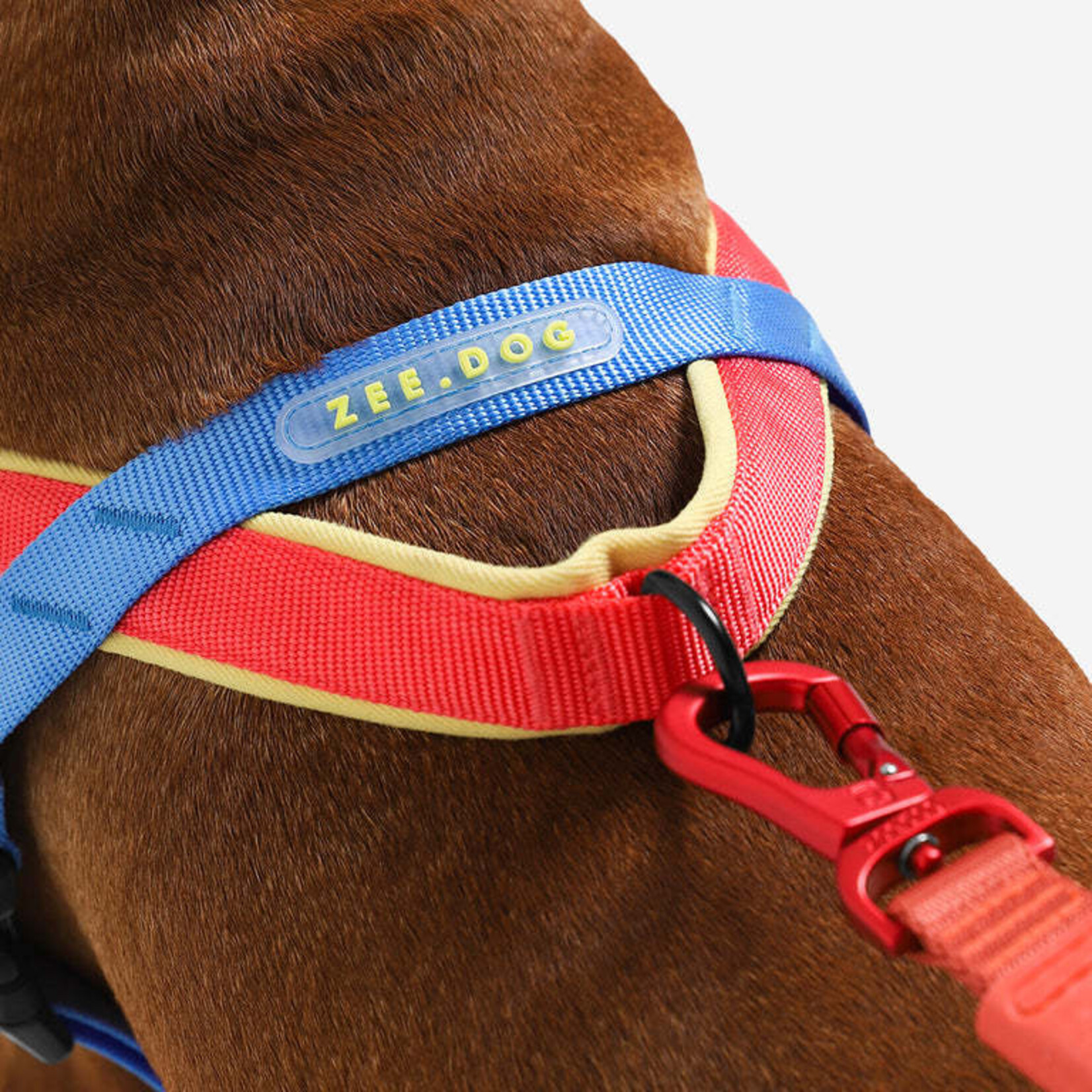 ZeeDog zee.dog - No-Pull SofterWalk Harness - Mellow