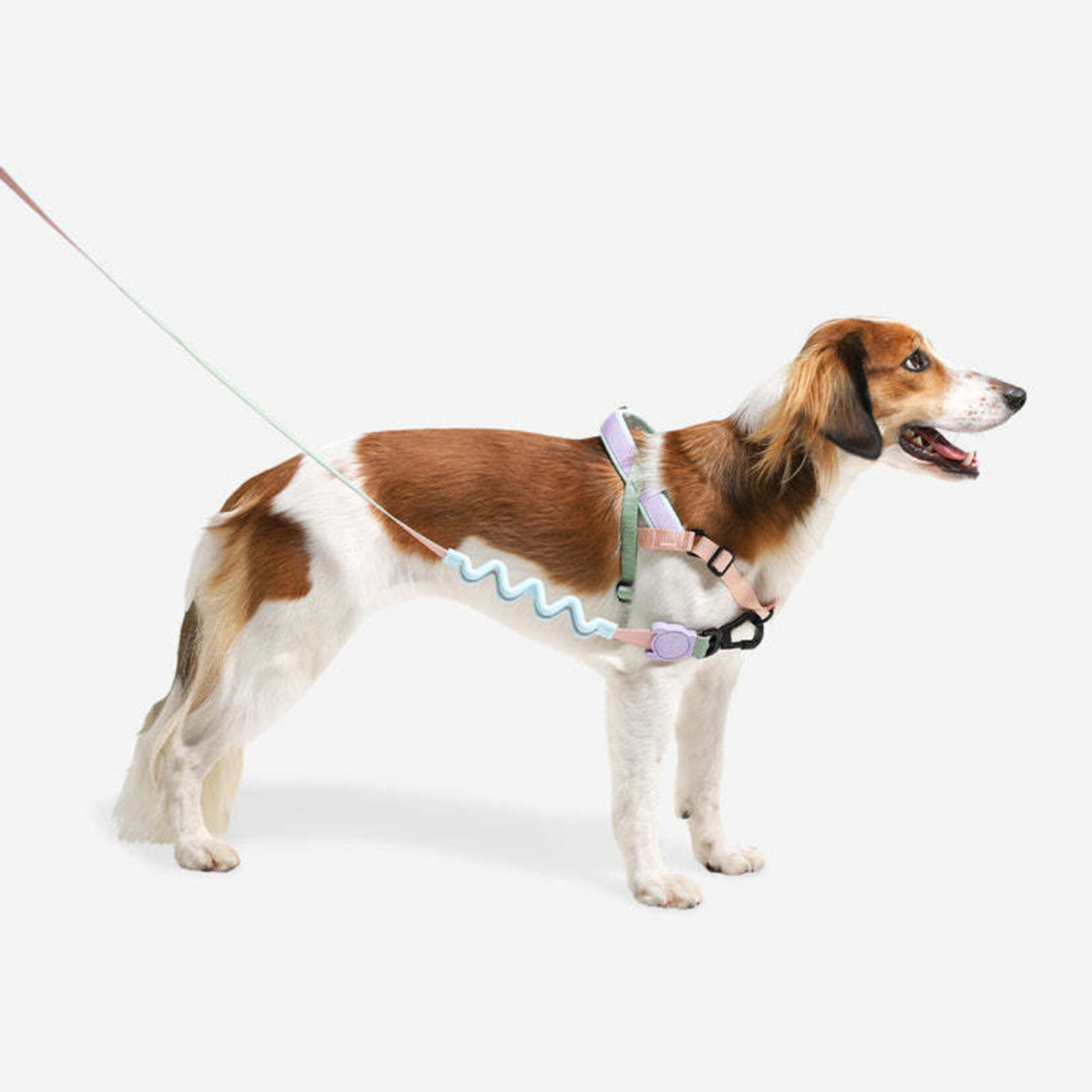 ZeeDog Zee Dog - No-Pull SofterWalk Harness - pêche