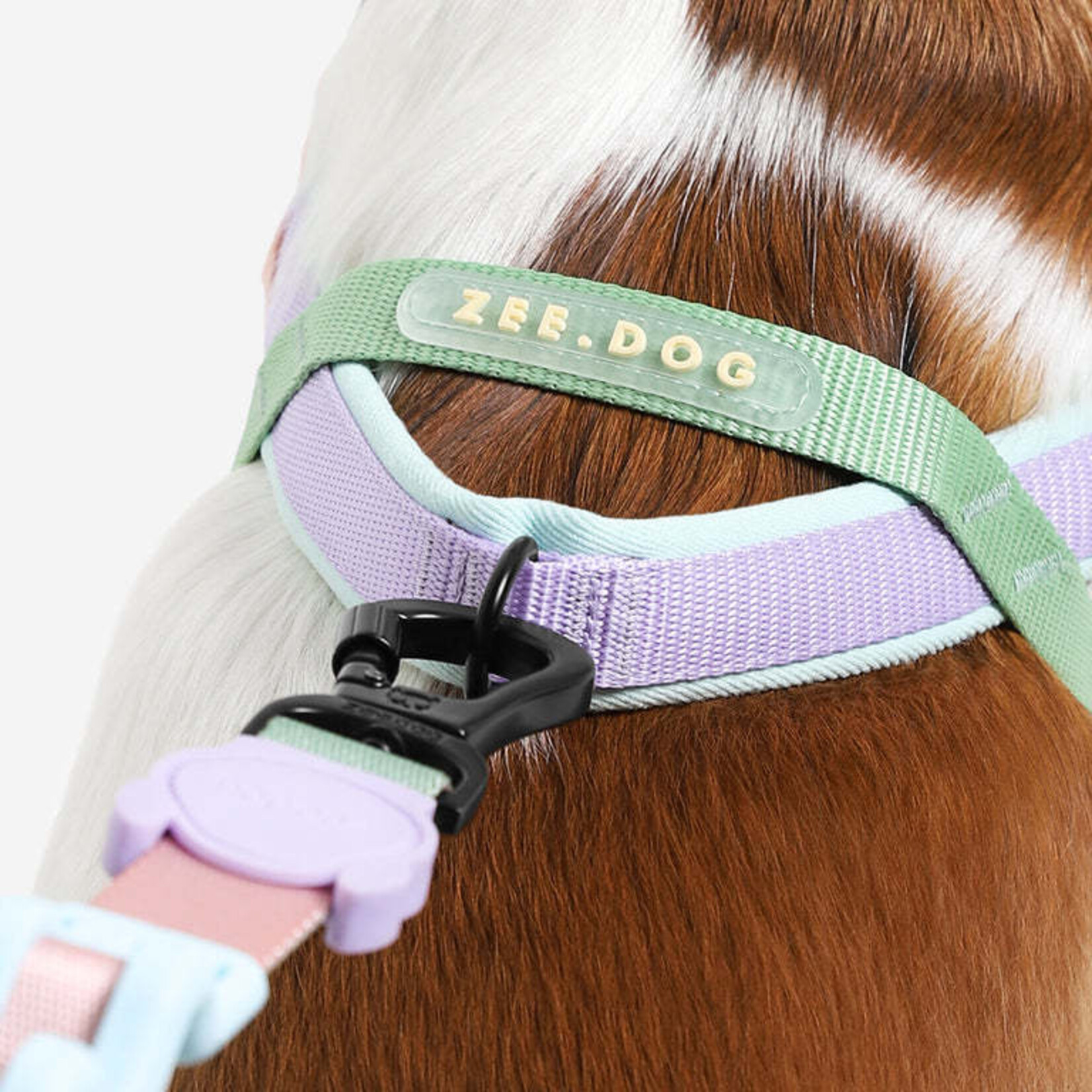 ZeeDog Zee Dog - No-Pull SofterWalk Harness - pêche