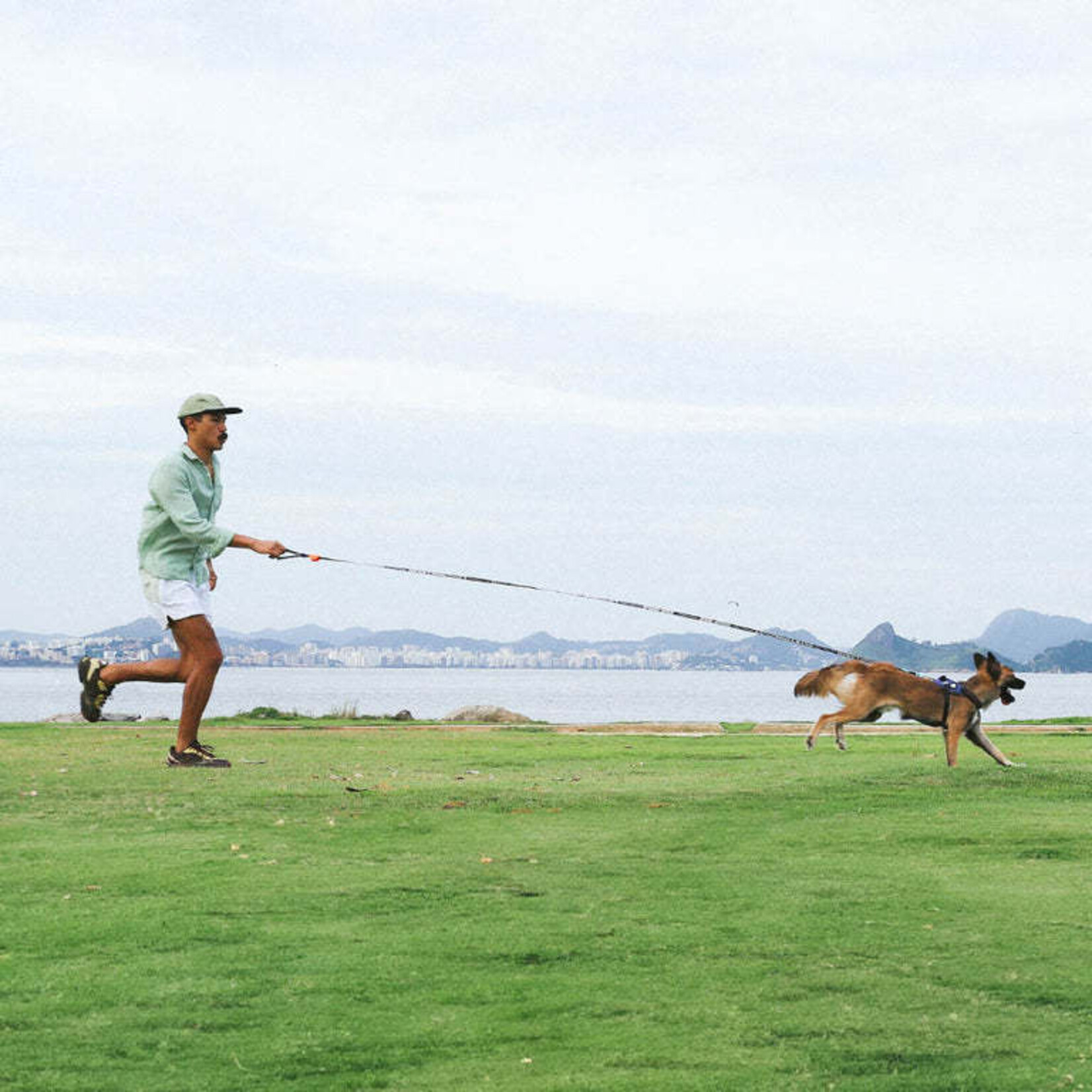 ZeeDog zee.dog  - Adjustable Length Long Leash - Leopard