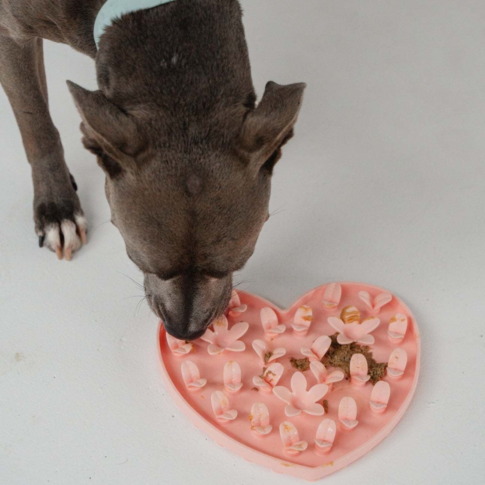 Dexypaws Dexypaws - Heart Enrichment Snuffle Mat