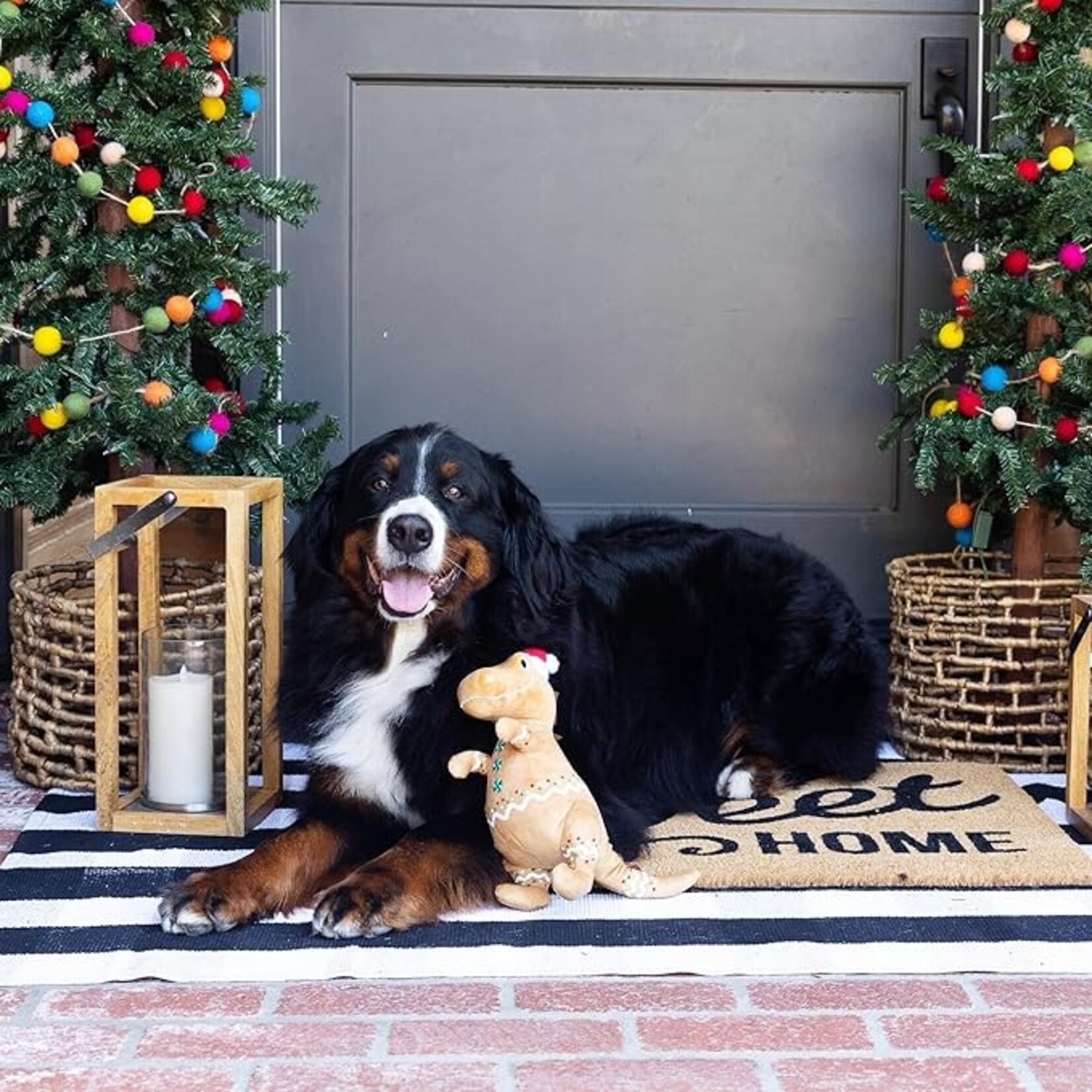 Fringe - PetShop - Cookie-Saurus