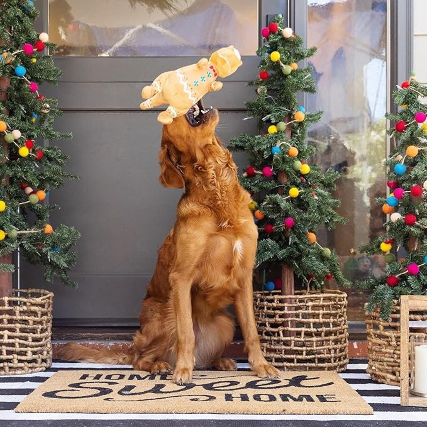 Fringe - PetShop - Cookie-Saurus