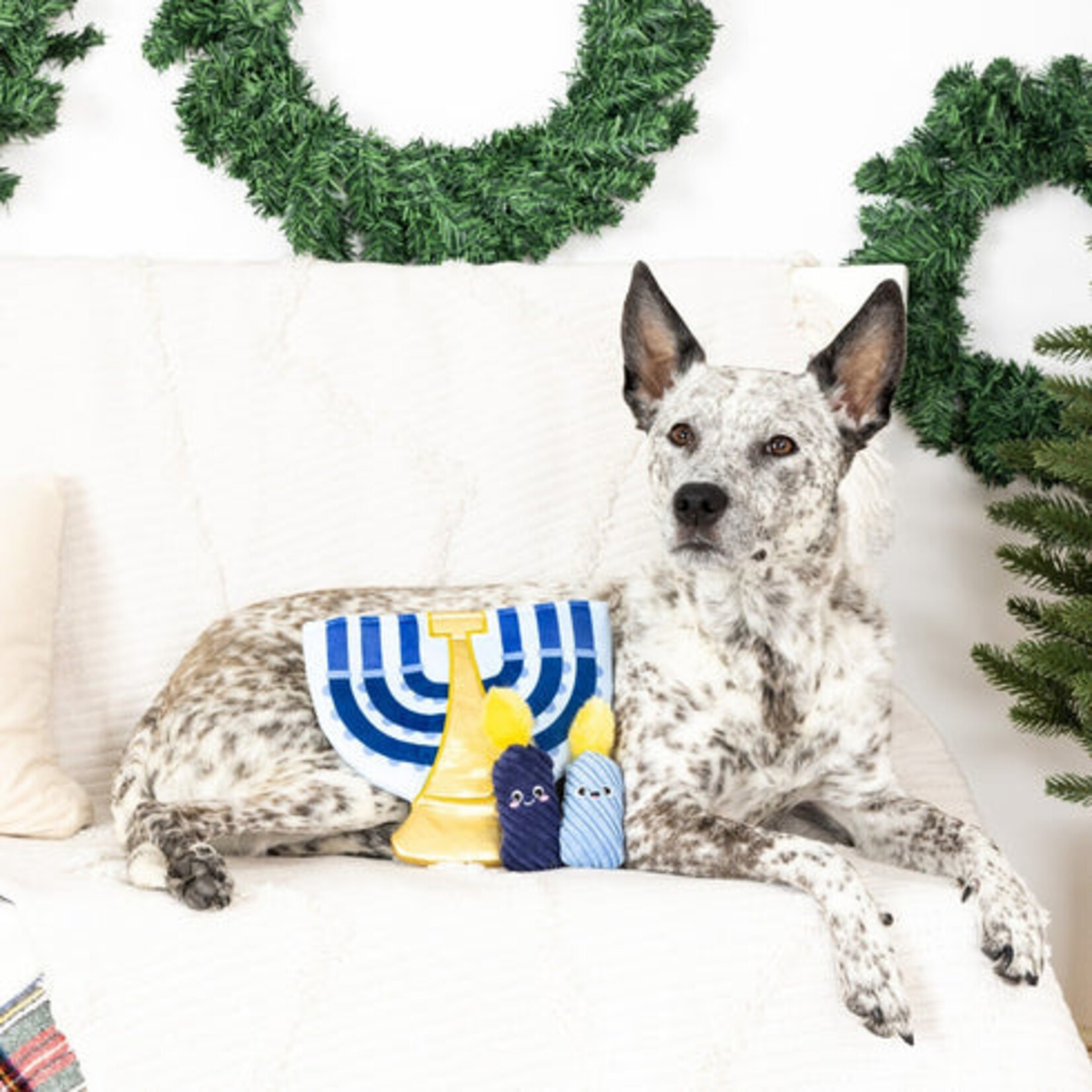 Fringe - Seek a Lil Hannukah