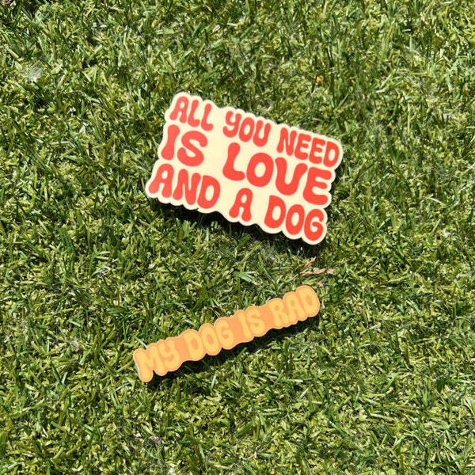 Rad Dog Rad Dog - Autocollant « My dog is rad »