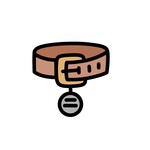 Accessoires pour chien