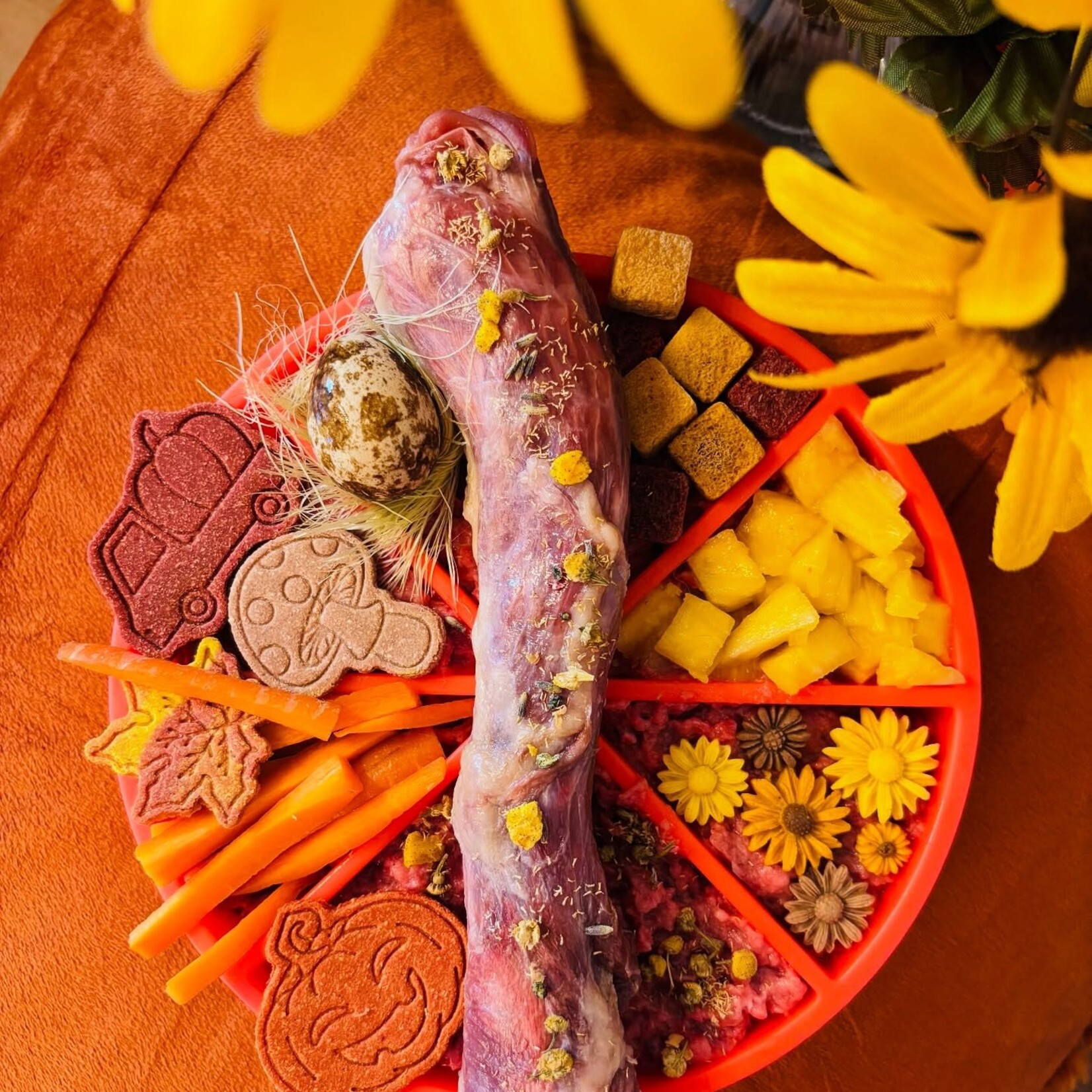 Dog's Crush Toys Dog's Crush - Bol interactif - Pamplemousse