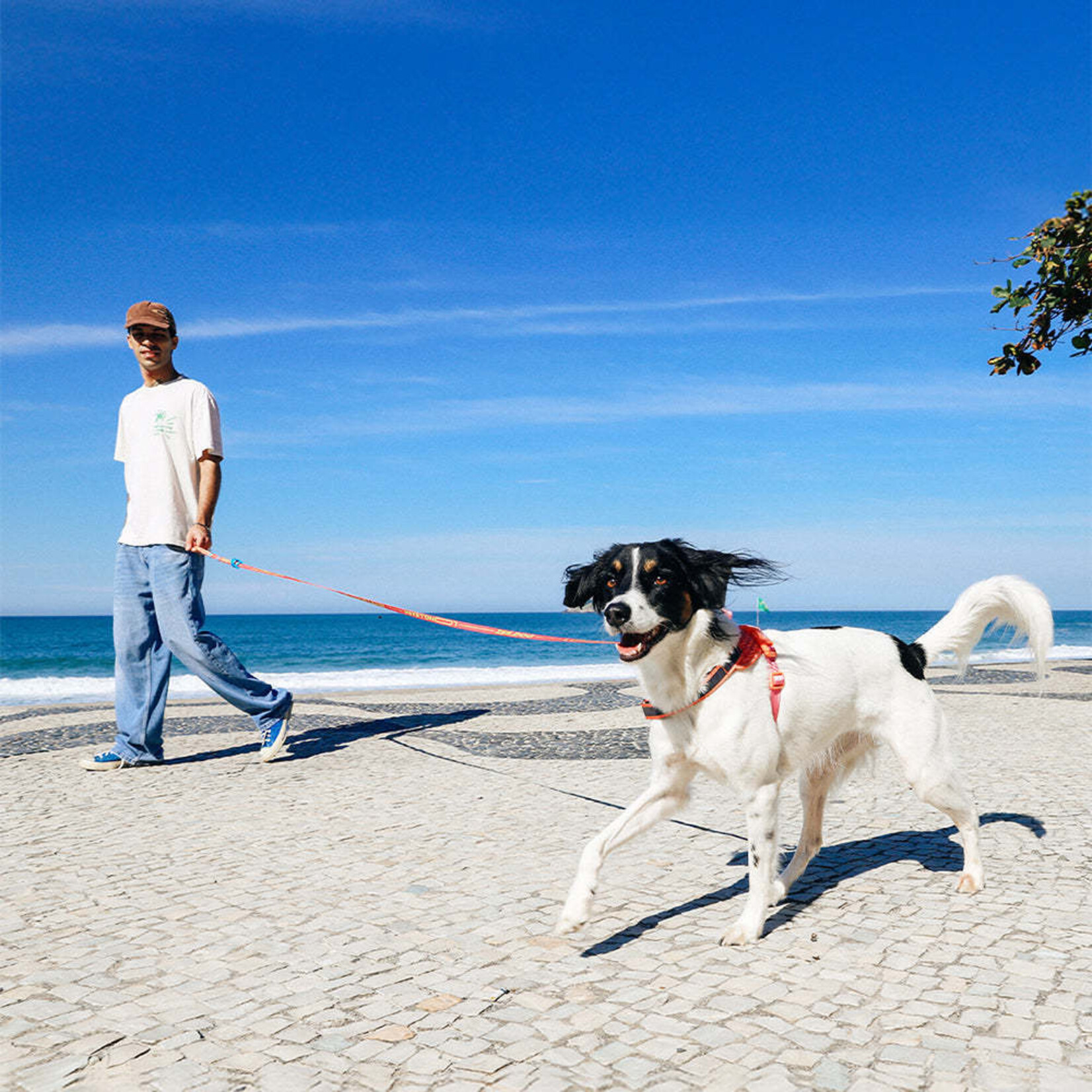 ZeeDog zee.dog  - Adjustable Length Long Leash - SEGUNDO