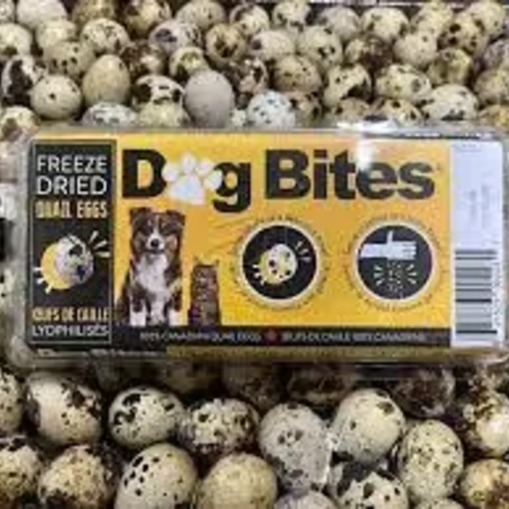 Dog Bites - Œufs de caille lyophilisés - 18 Œufs