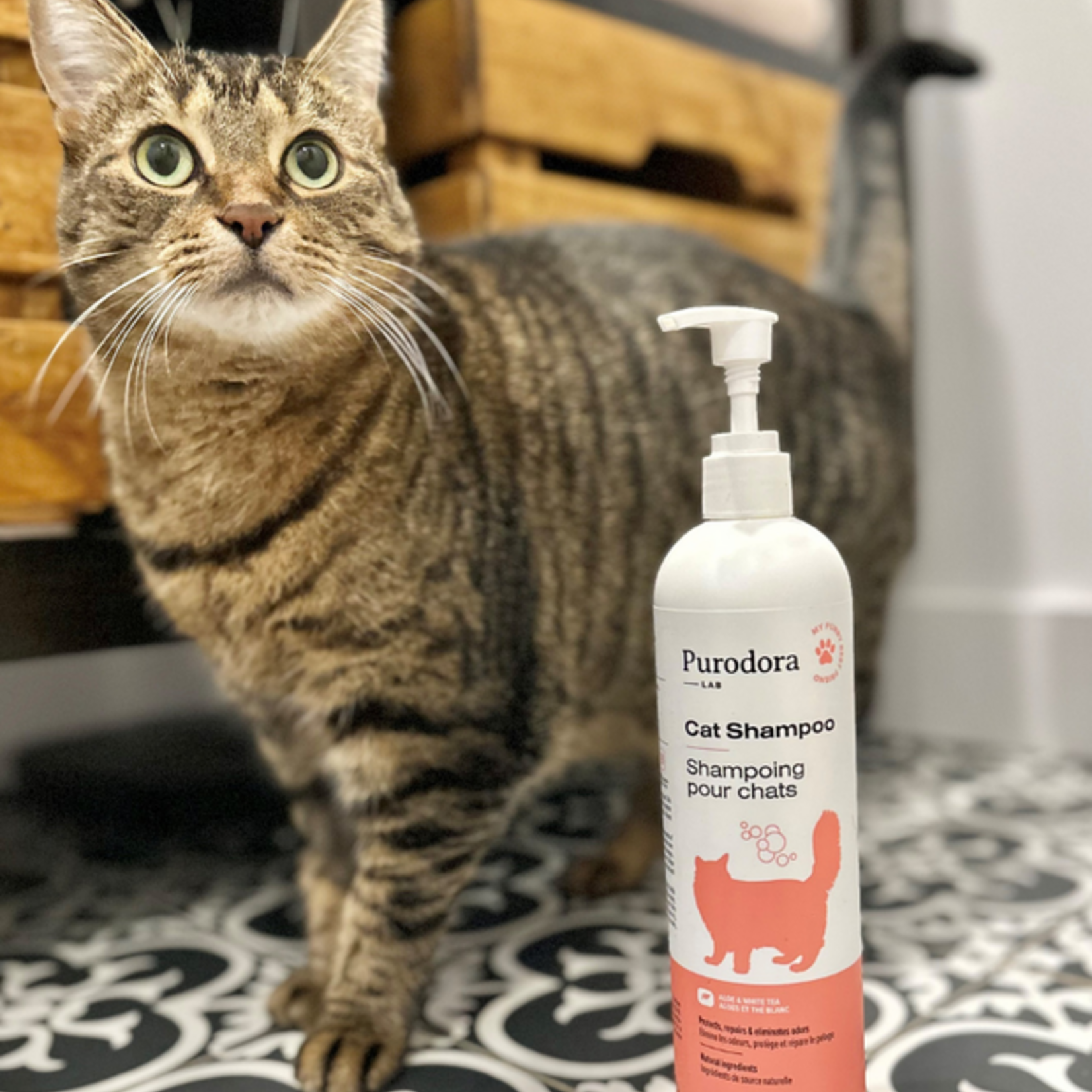 Purodora Lab Purodora - Cat Shampoo - Hypoallergenic - Aloe & White Tea - 237ml