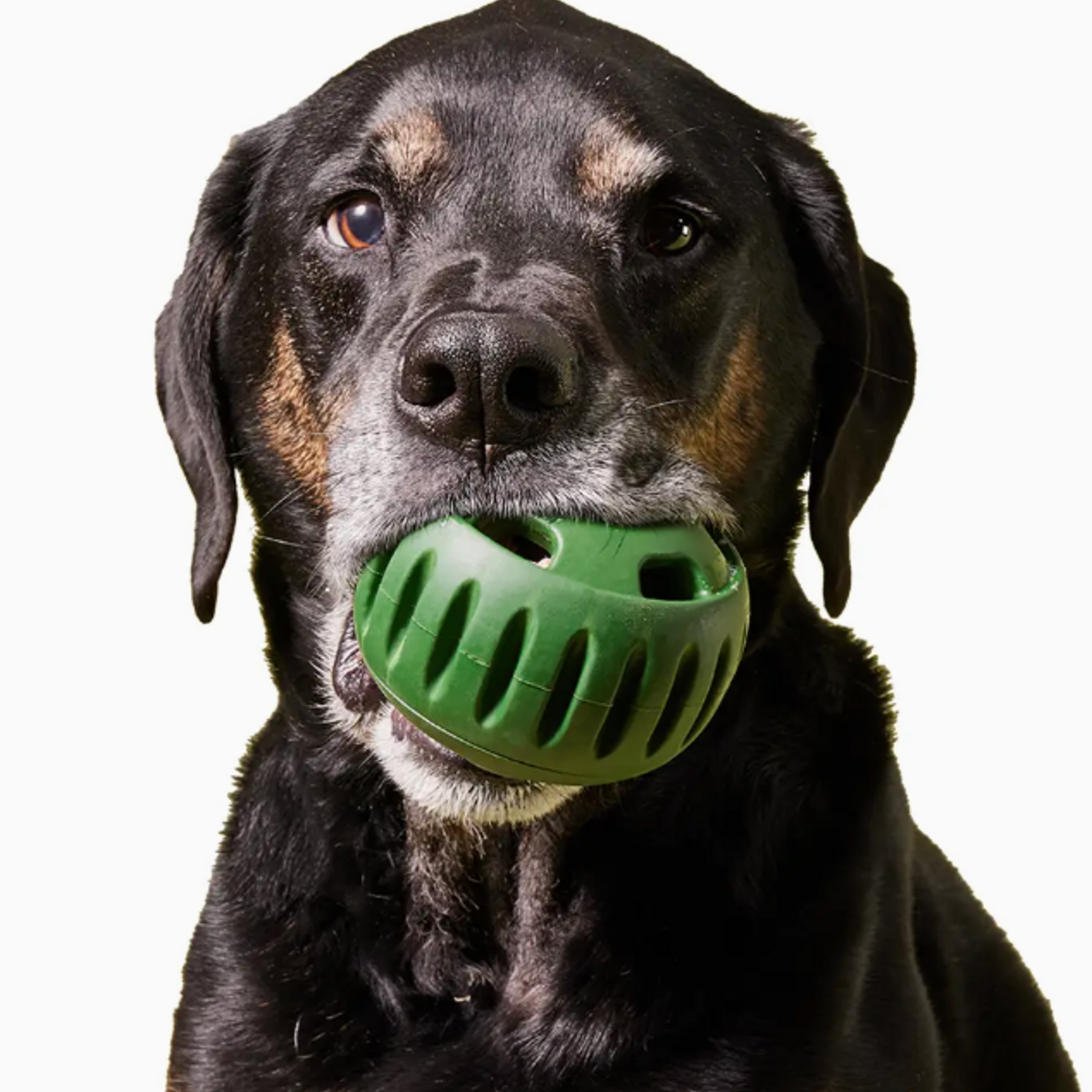 woof woof - Pupsicle - Green