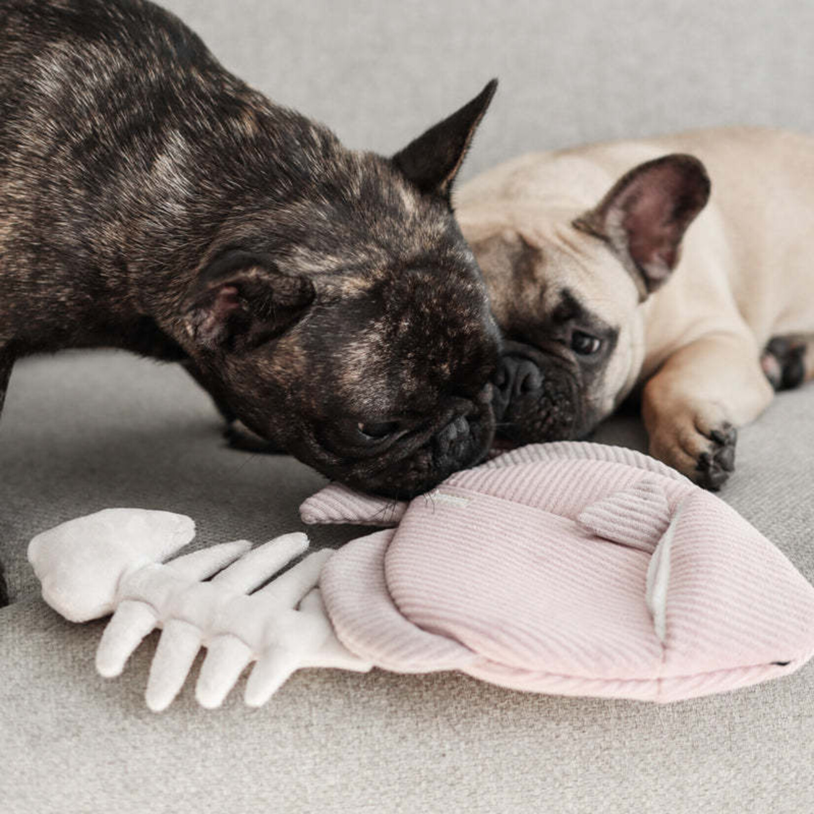 Lambwolf.co - Snuffle Poisson-ange