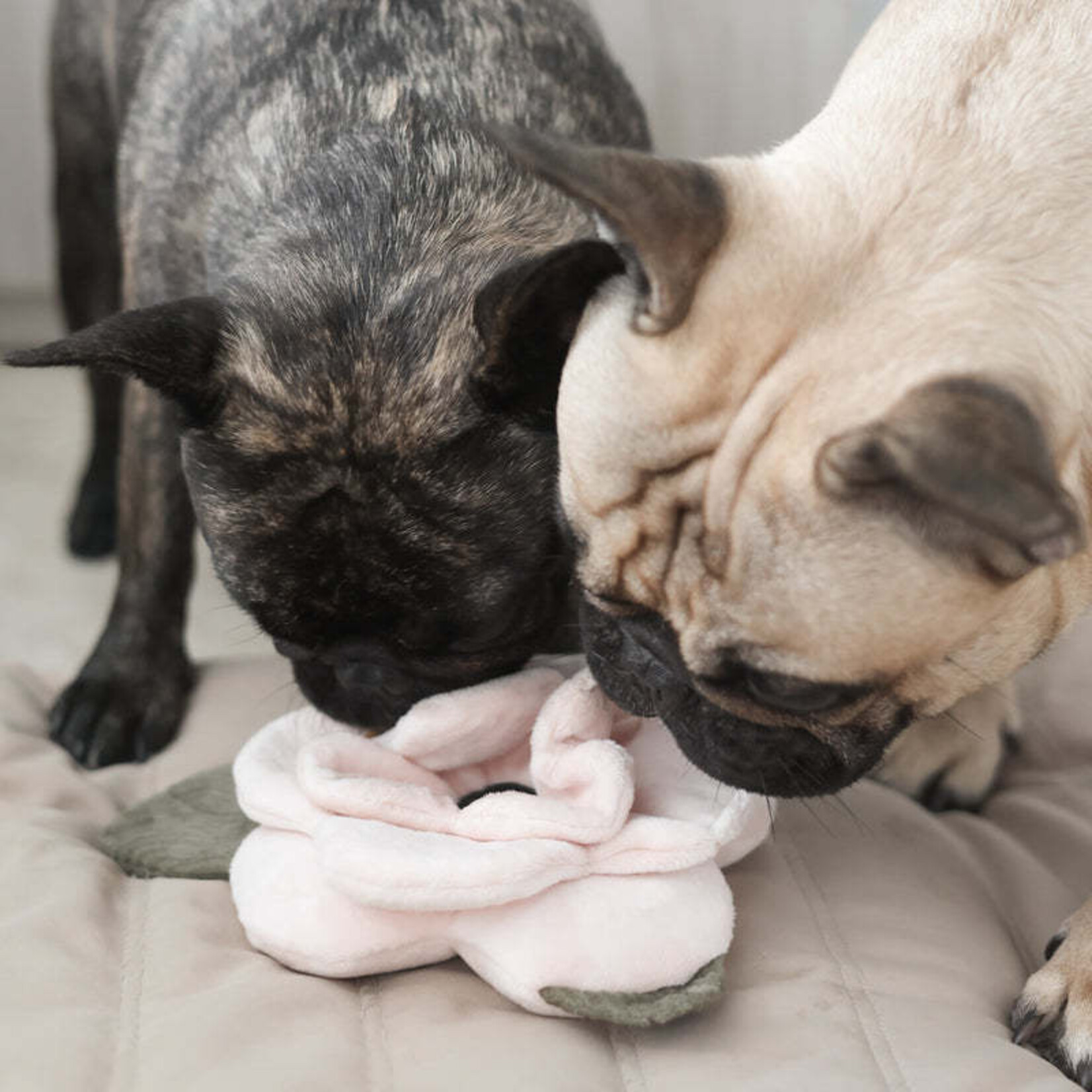 Lambwolf.co - Plush Poppy - Large