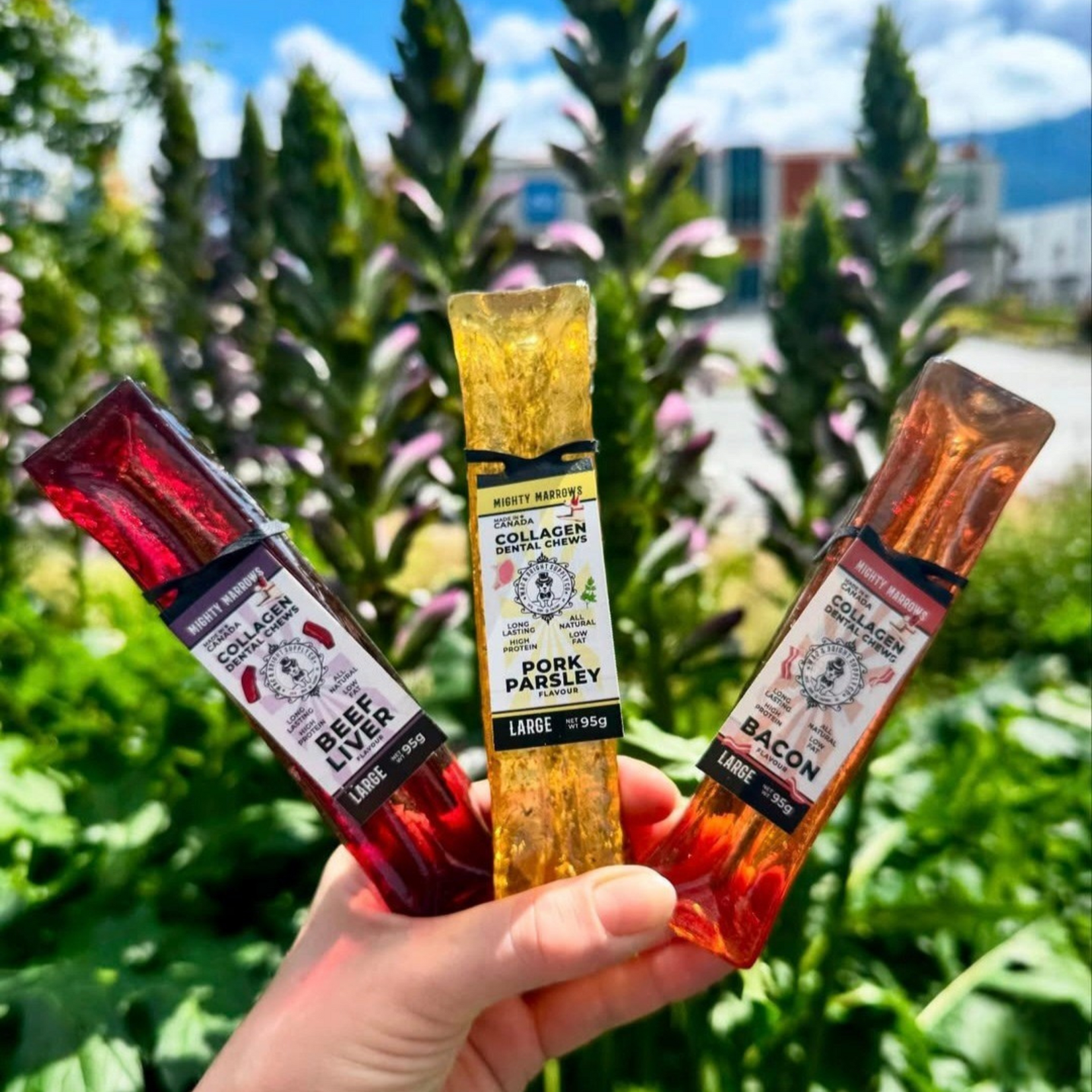 Mighty Marrows - Collagen Dental Chew - Bacon