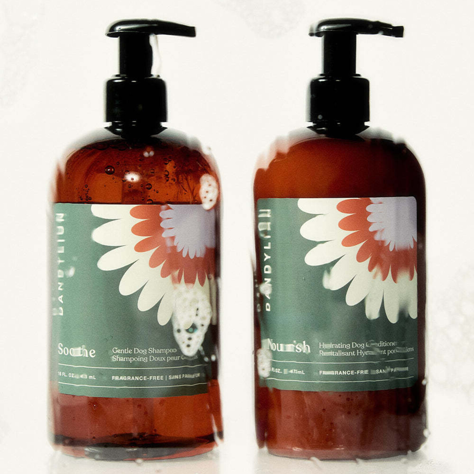 Dandylion Dandylion - Soothe - Shampooing doux pour chiens