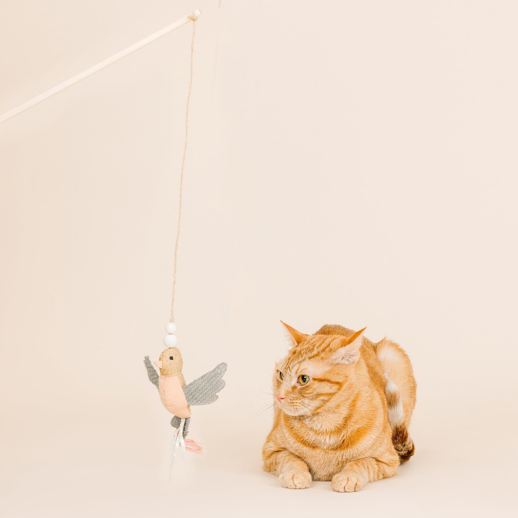 Pet Shop - Baguette à chat - Taking Flight