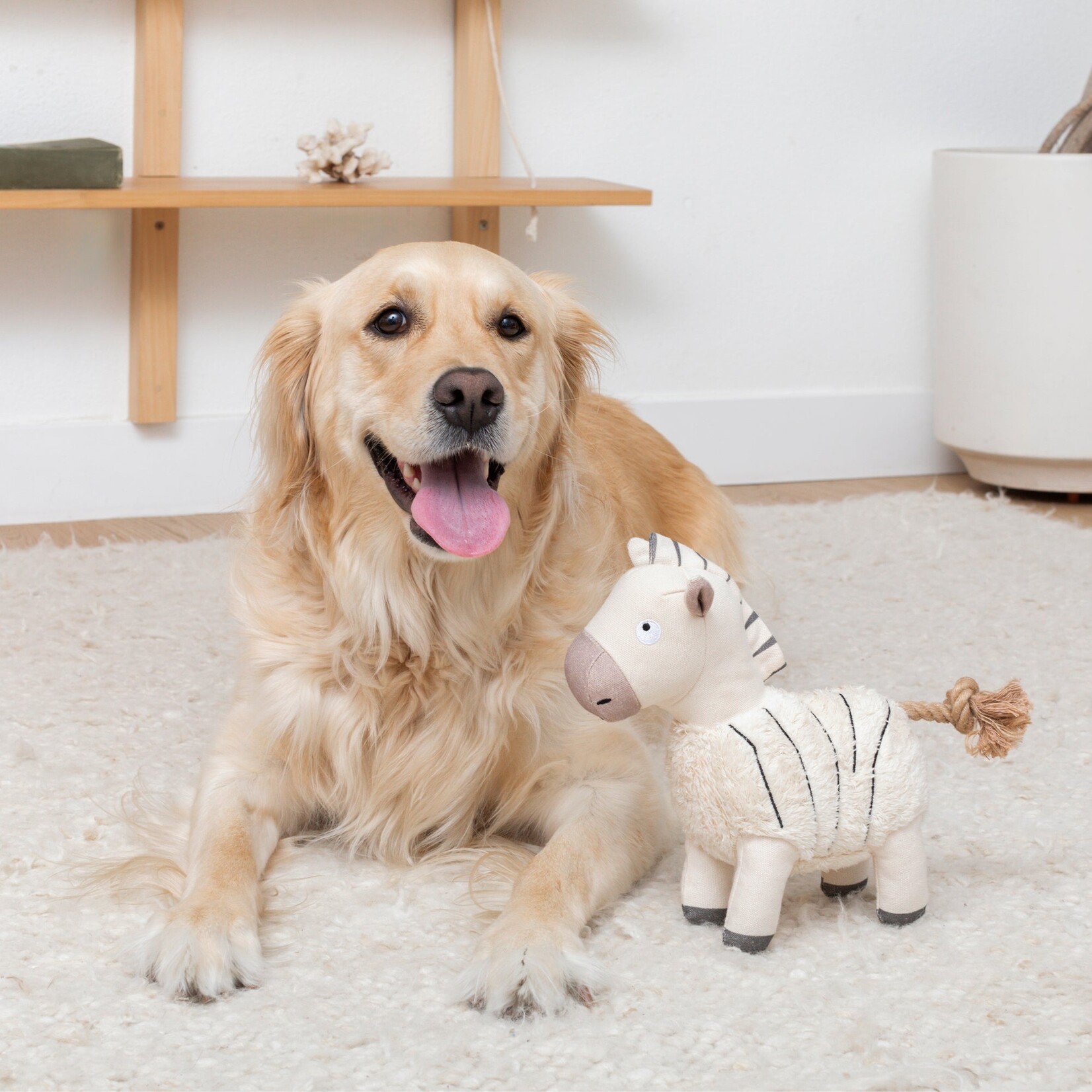 Pet Shop - Earth Friendly - "Earned my Stripes"